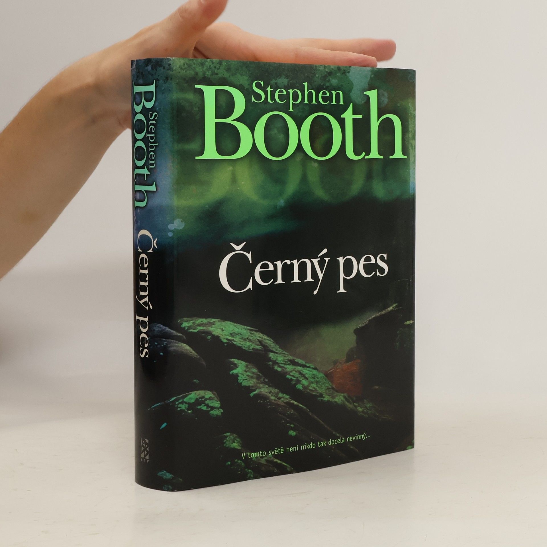 Stephen Booth Černý pes