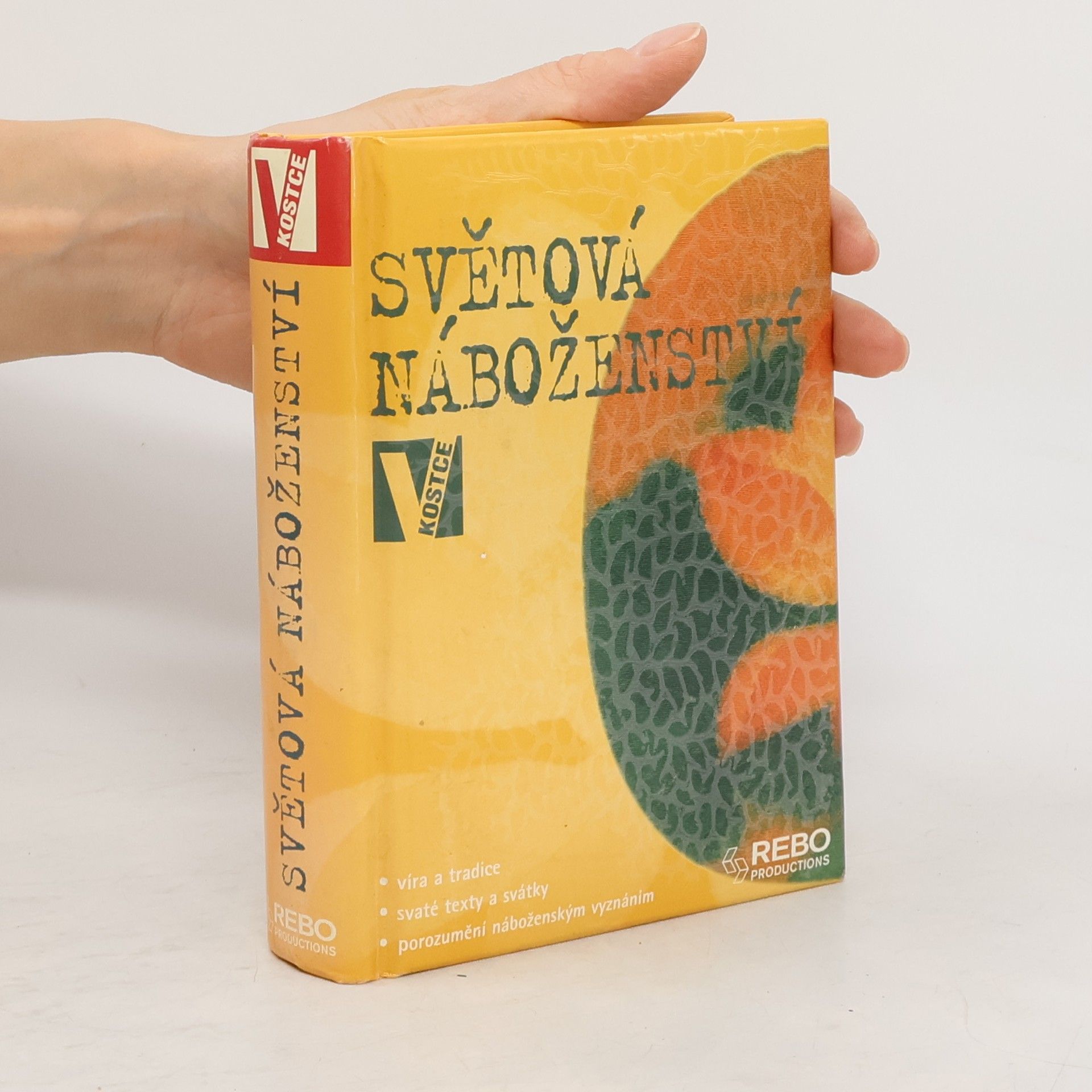 Seán McLoughlin Světová náboženství v kostce