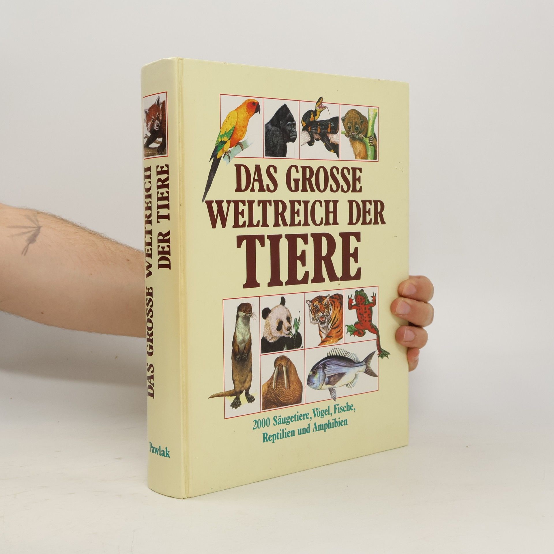 Philip Whitfield Das grosse Weltreich der Tiere