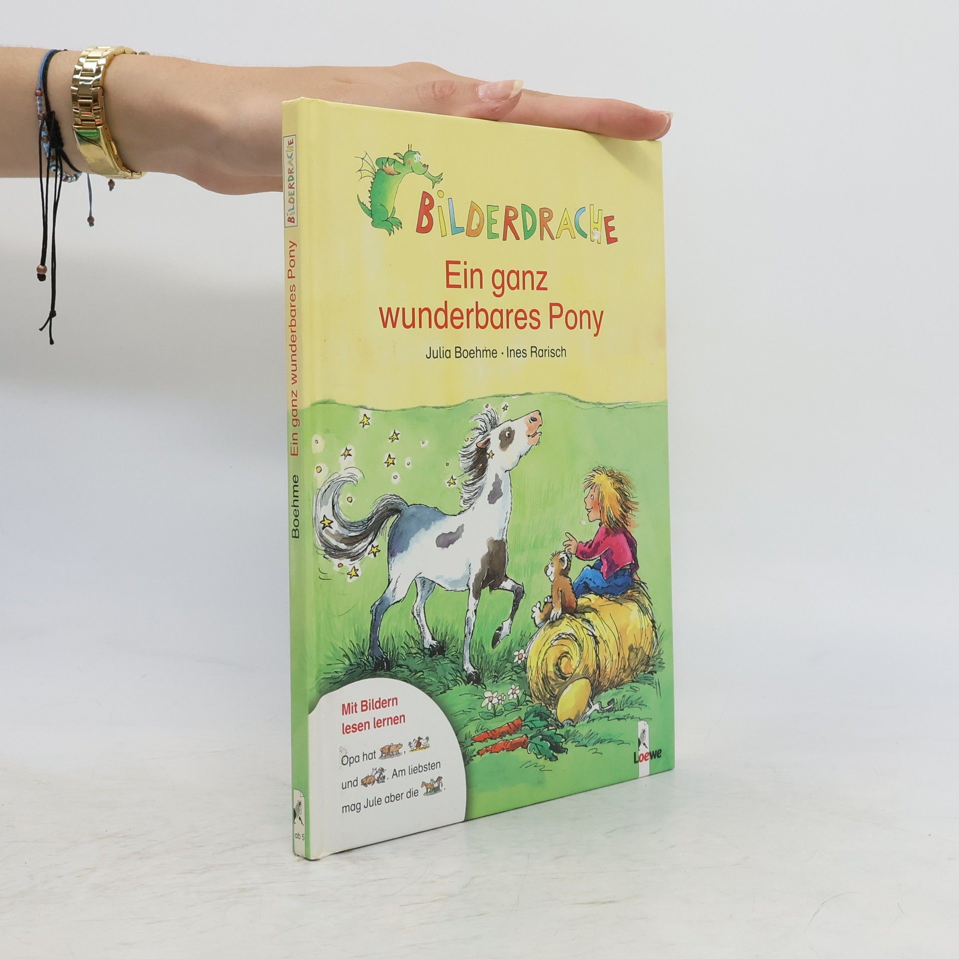 Julia Boehme Ein ganz besonderes Pony