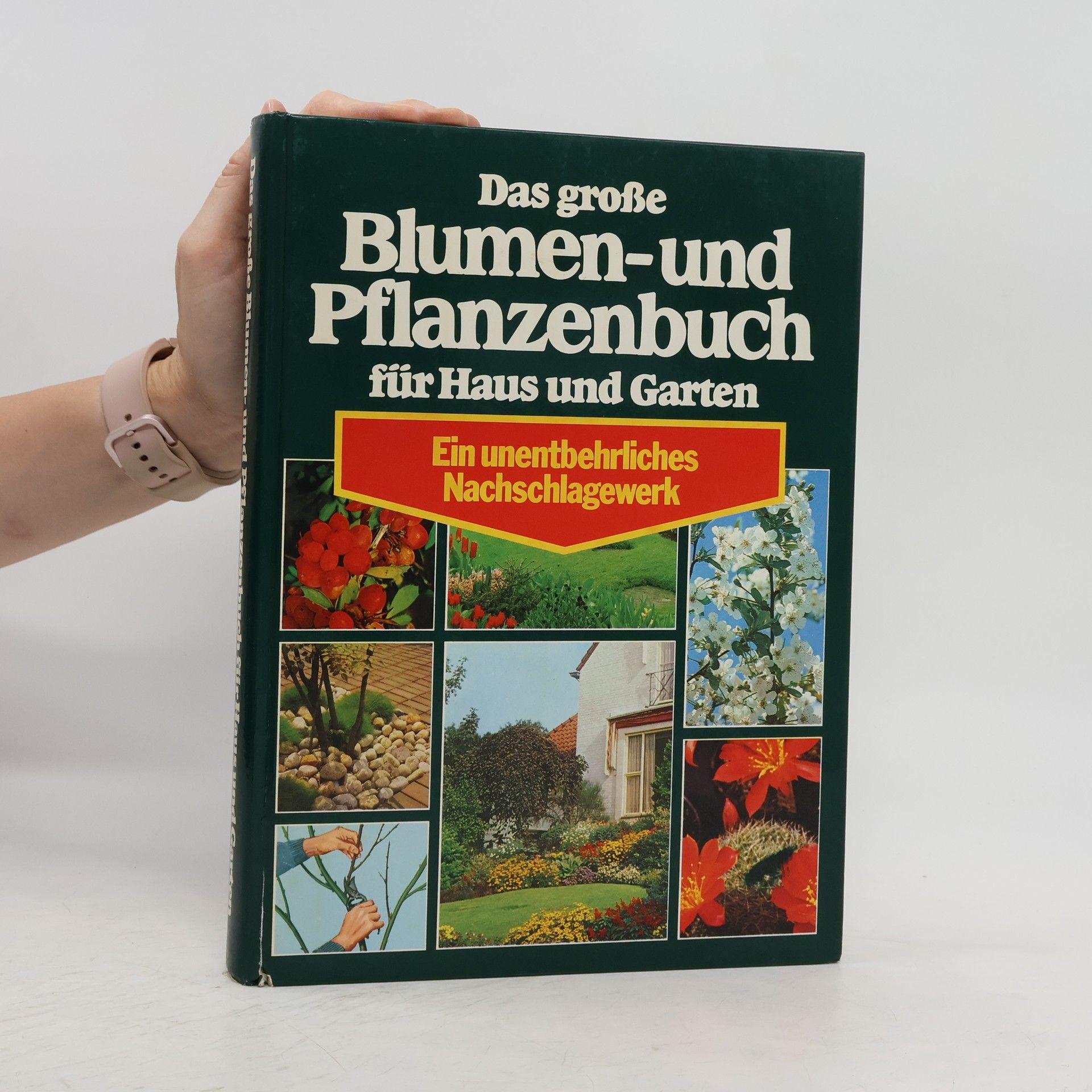 Kolektiv autorů Das große Blumen- und Pflanzenbuch für Haus und Garten