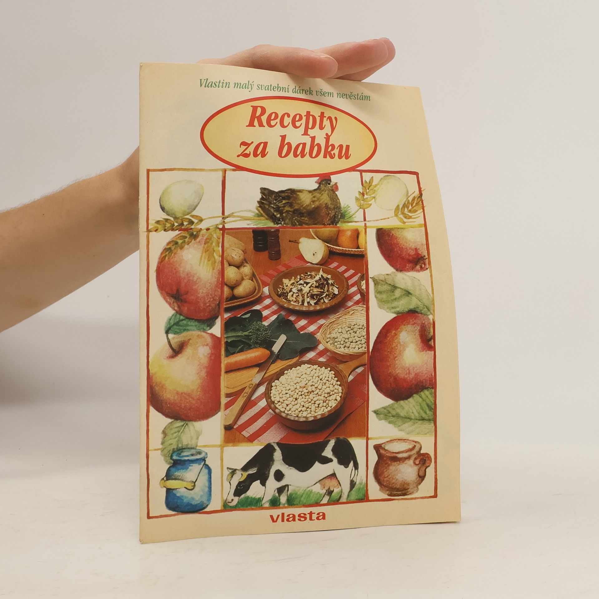 Kolektiv autorů Recepty za babku