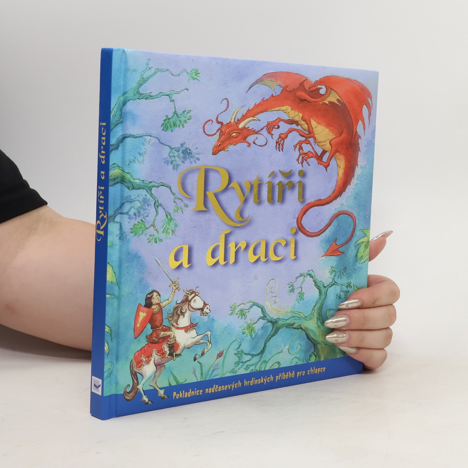 AA.VV. Rytíři a draci