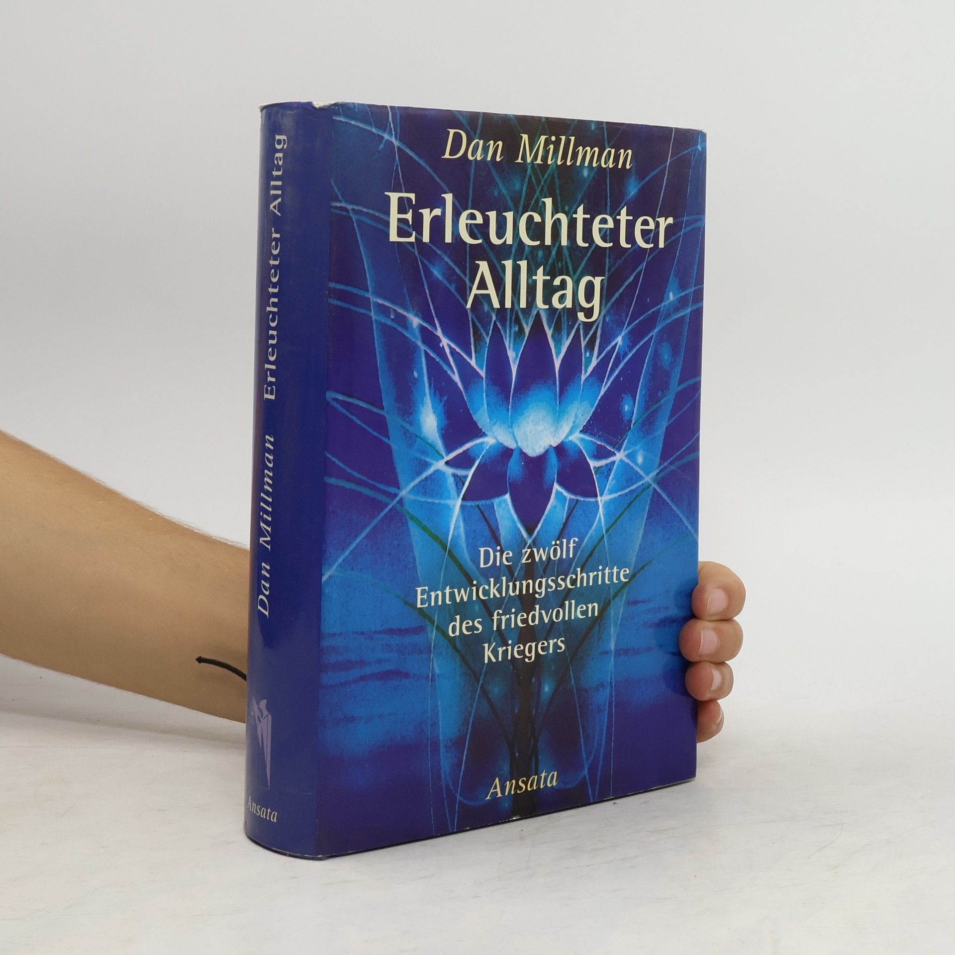 Dan Millman Erleuchteter Alltag