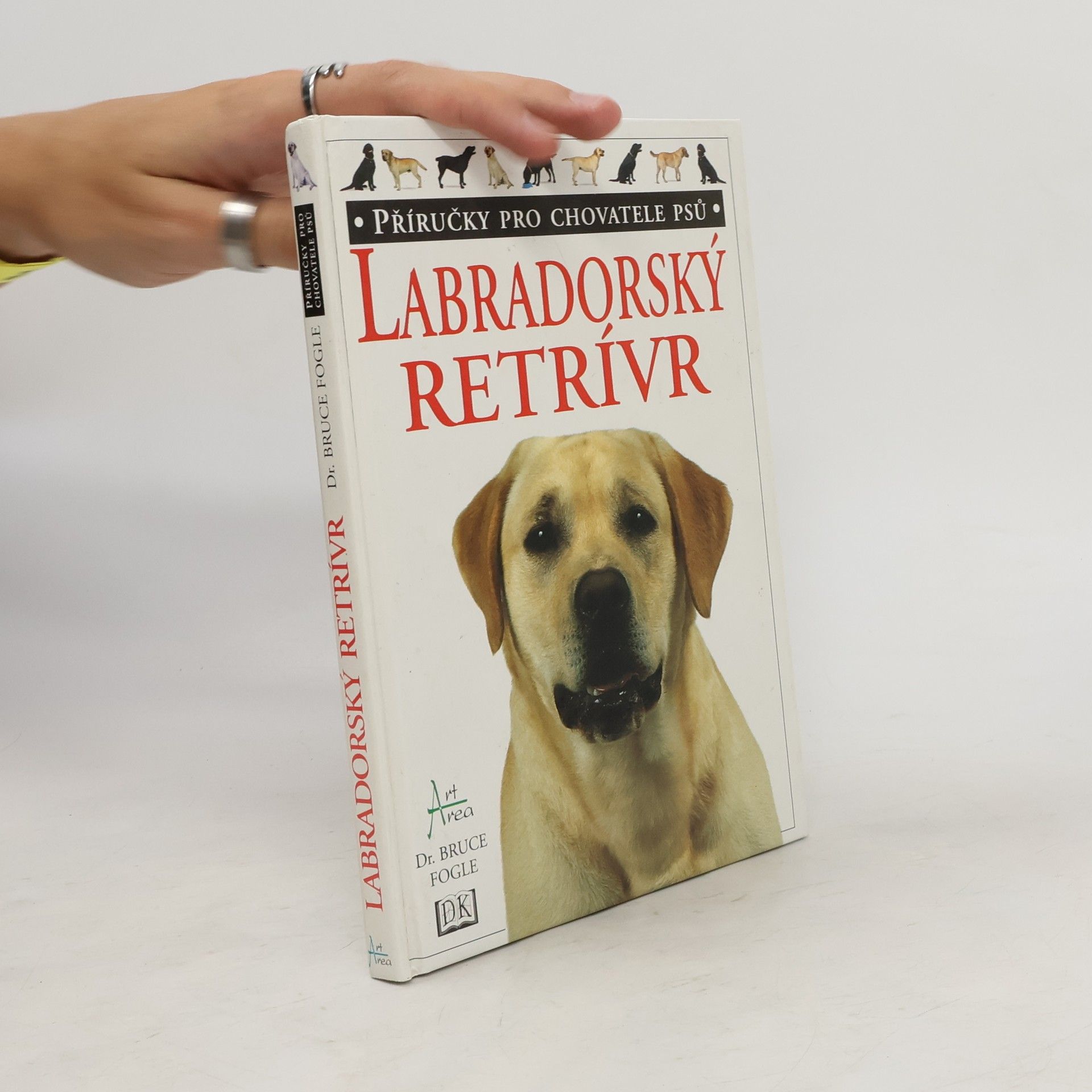 Labradorský retrívr