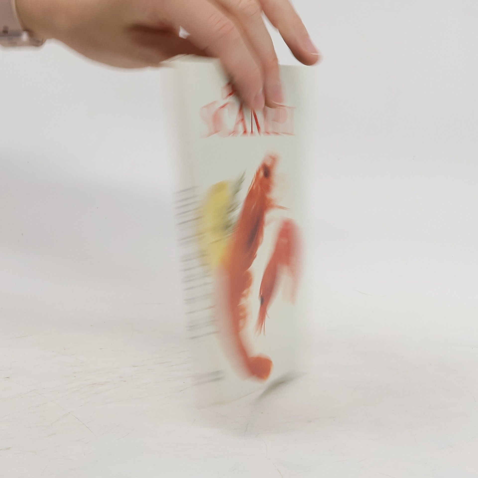 Annette Heggemann Scampi