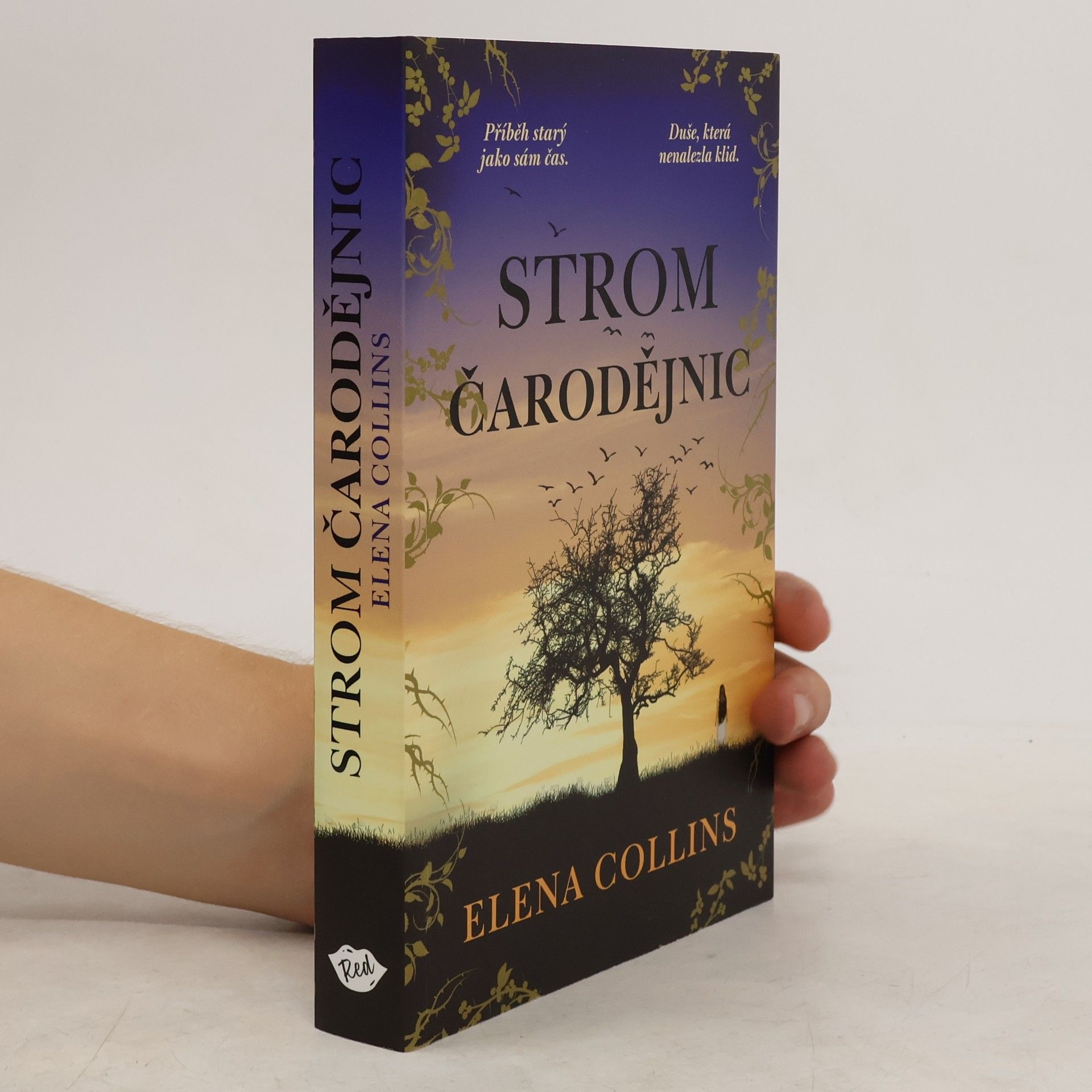 Jana Buchalová Strom čarodějnic