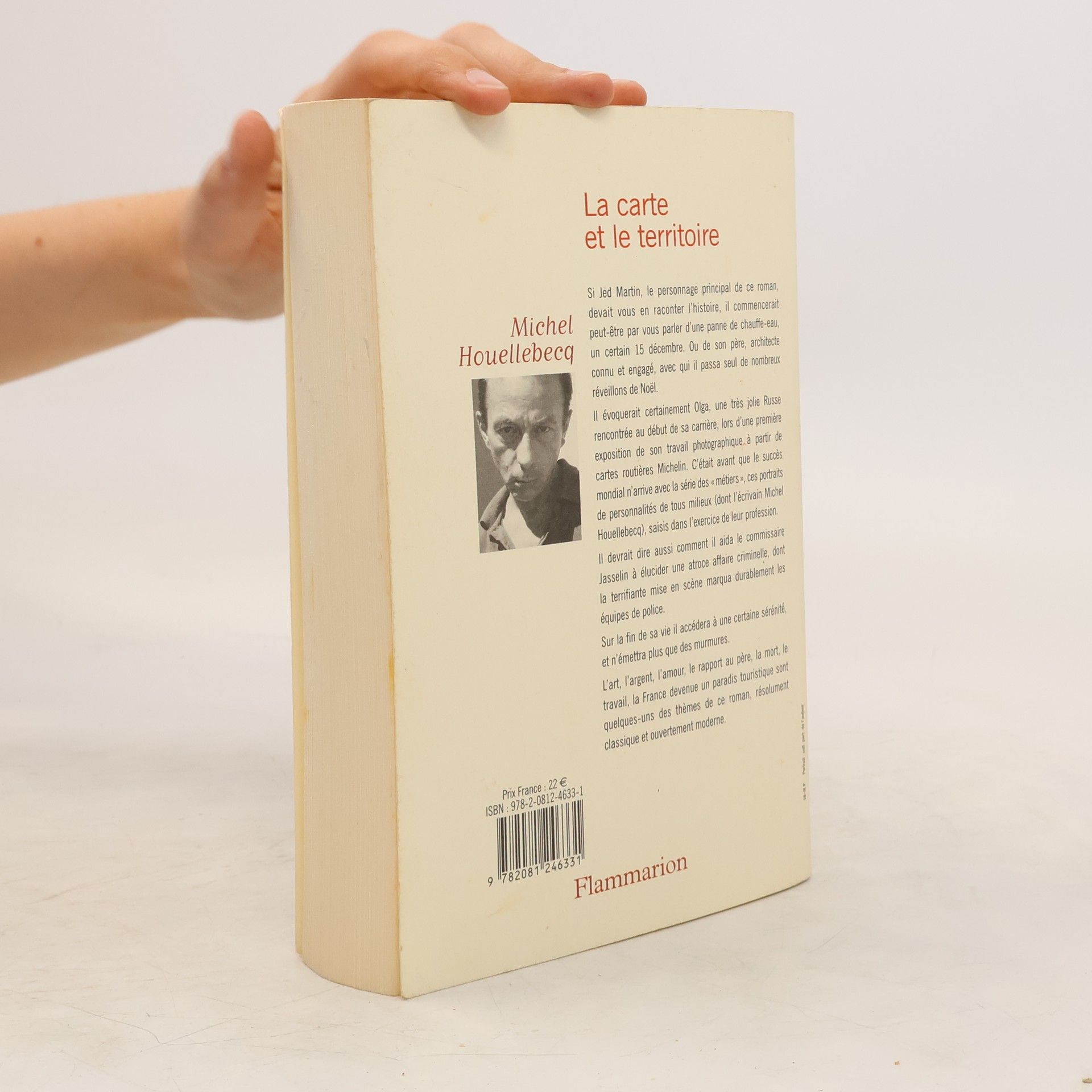 Michel Houellebecq La carte et le territoire