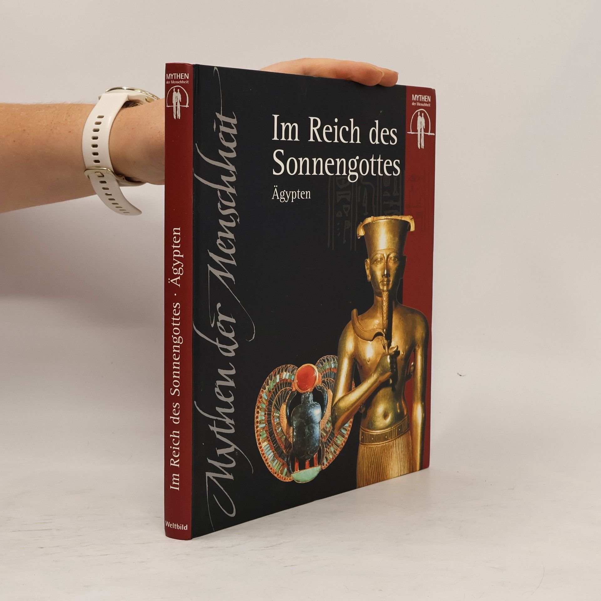 Kolektiv autorů Im Reich des Sonnengottes. Ägypten
