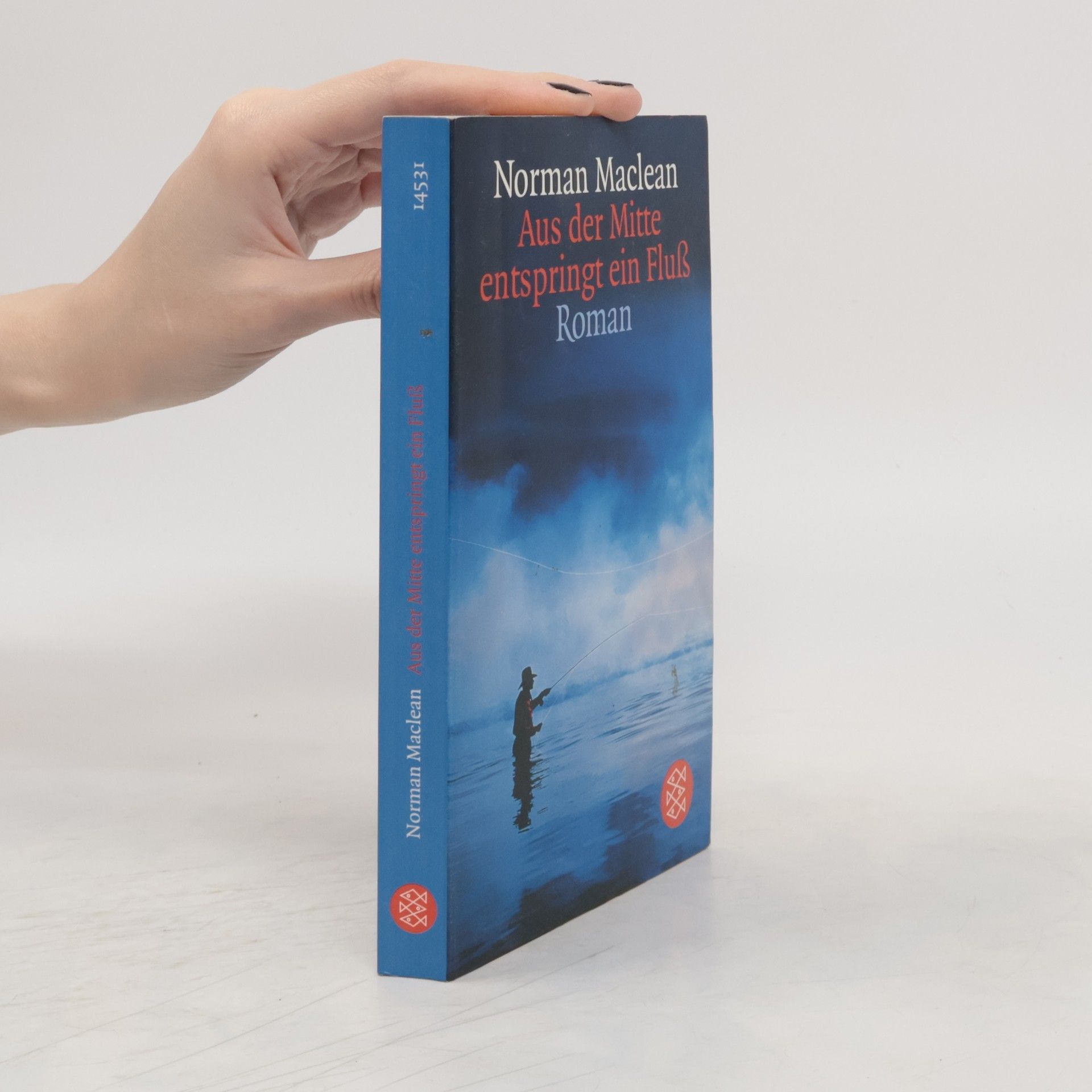 Norman Maclean Aus der Mitte entspringt ein Fluß