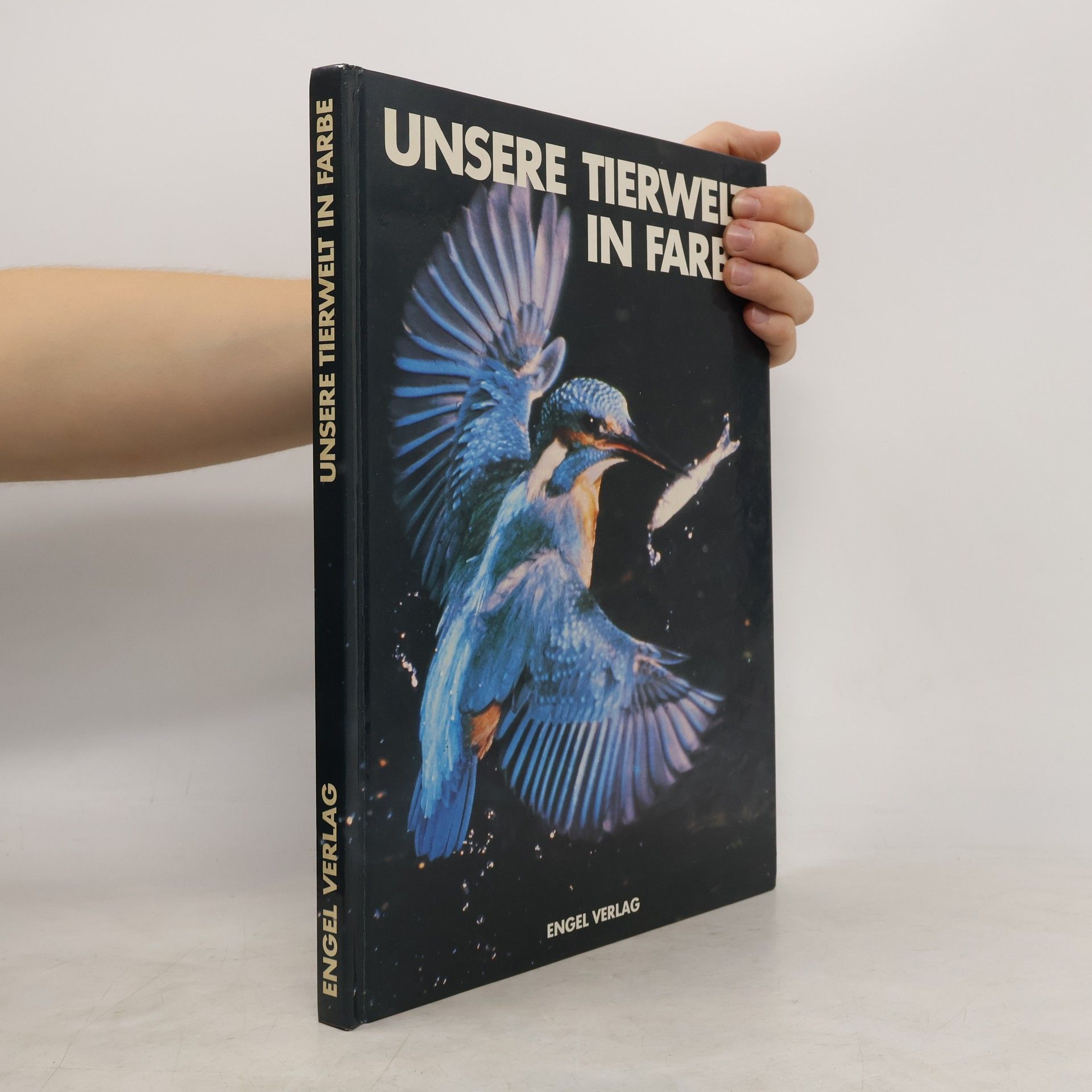 Theodor Haltenorth Unsere Tierwelt in Farbe