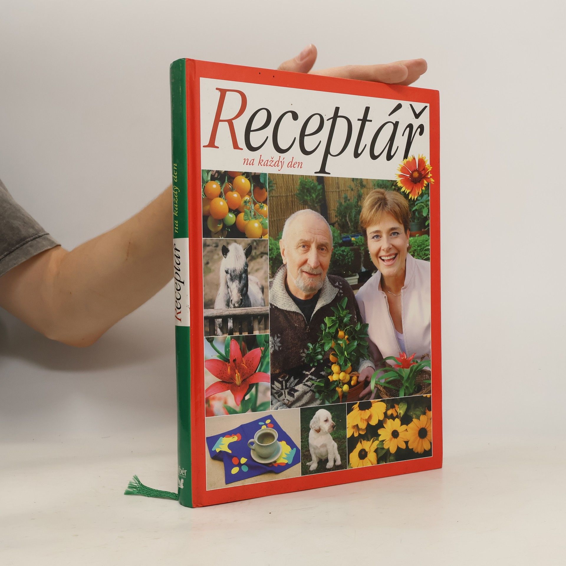 Kolektív autorov Receptář na každý den