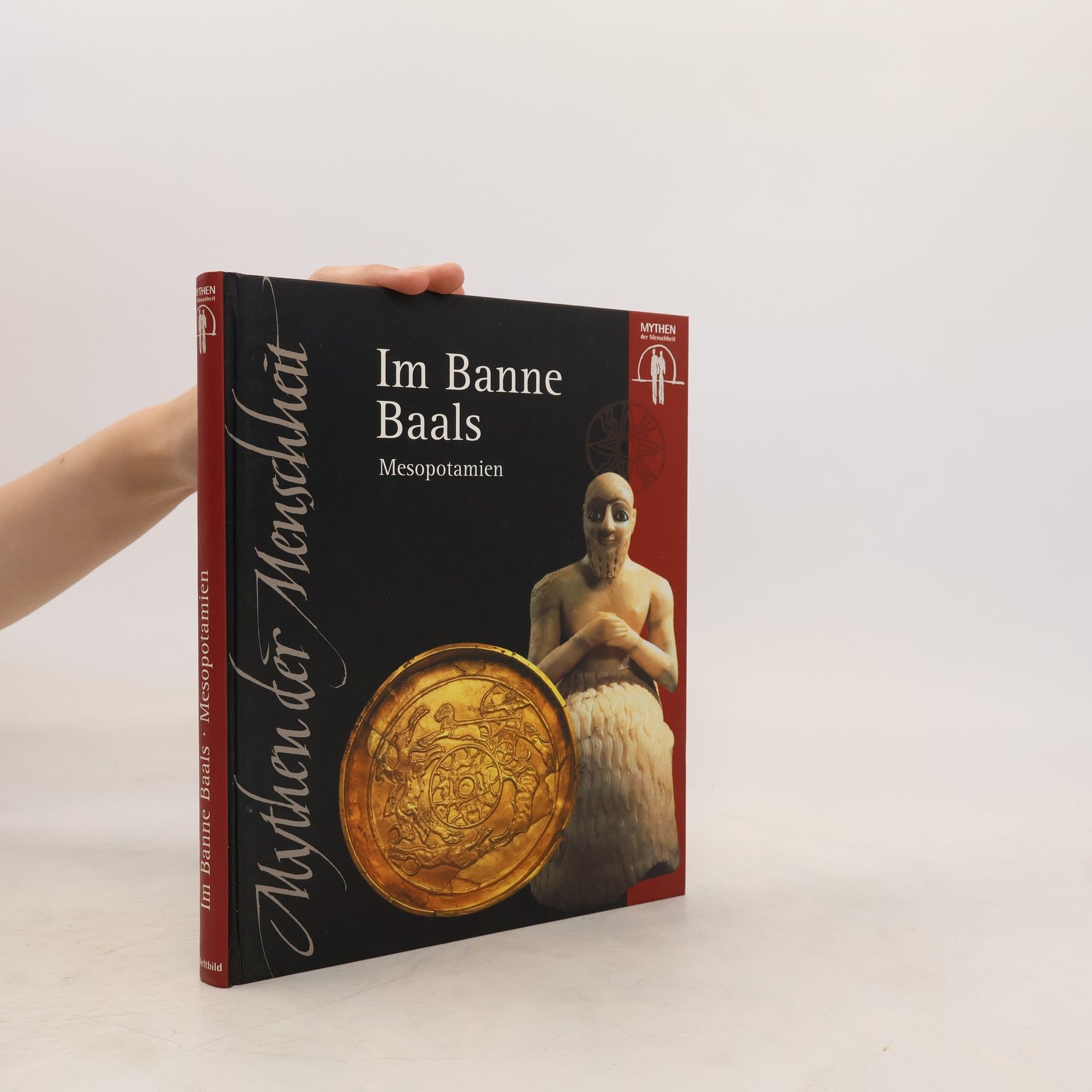 Collectif d'auteurs Im Banne Baals. Mesopotamien