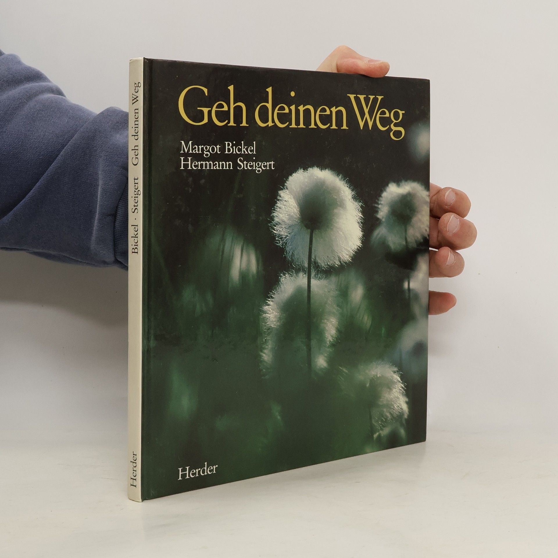 Autorenkollektiv Geh deinen Weg