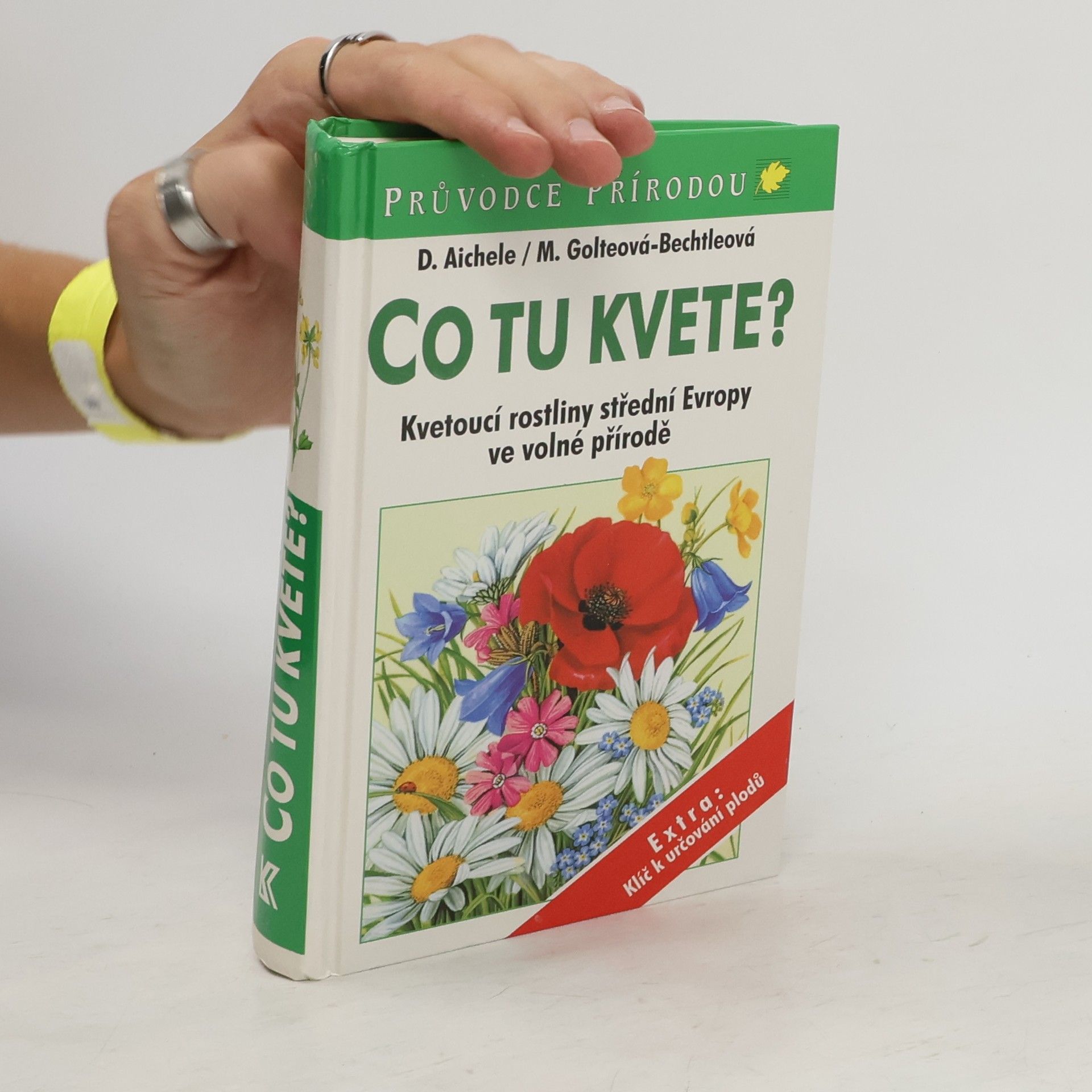 Dietmar Ernst Aichele Co tu kvete?