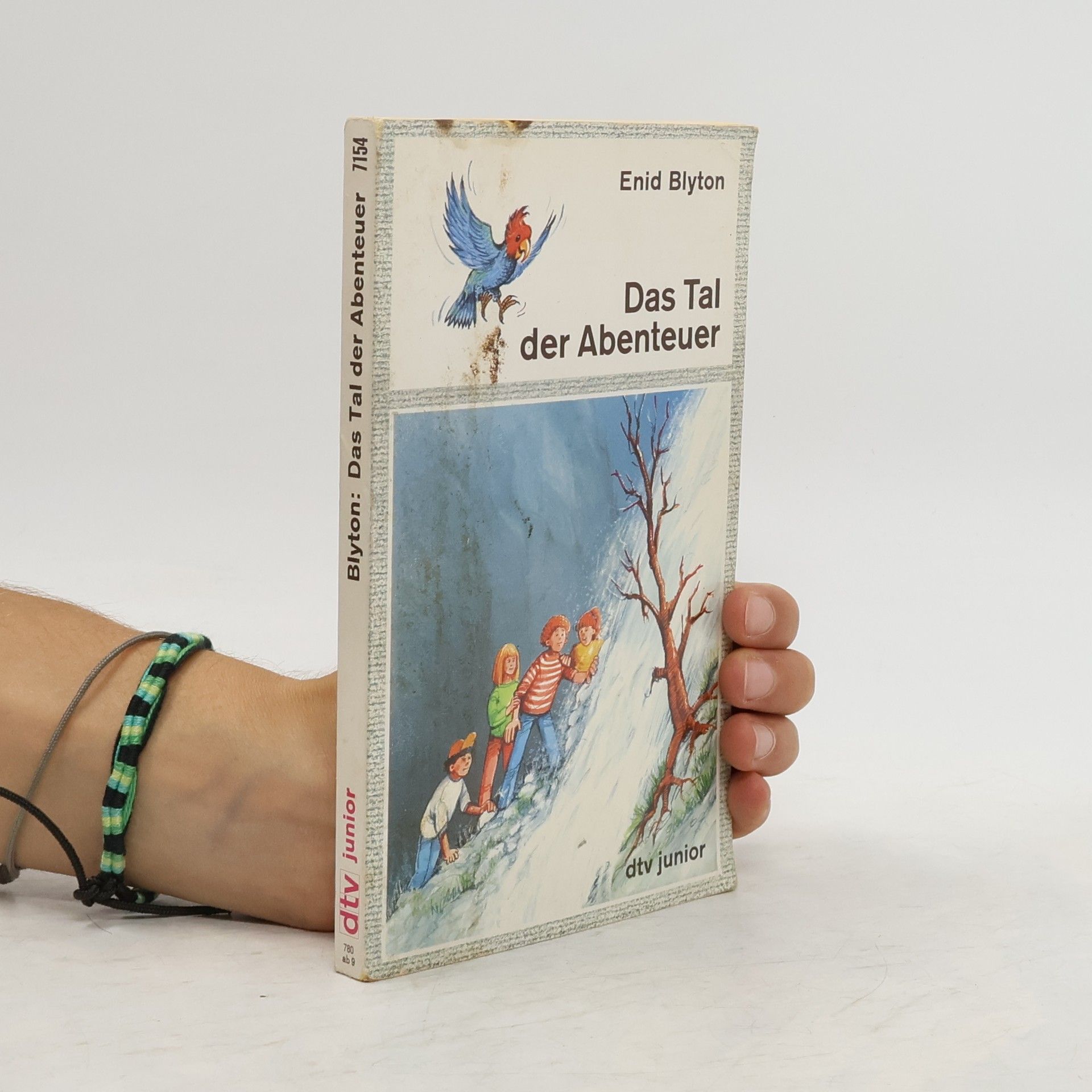 Enid Blyton Das Tal der Abenteuer