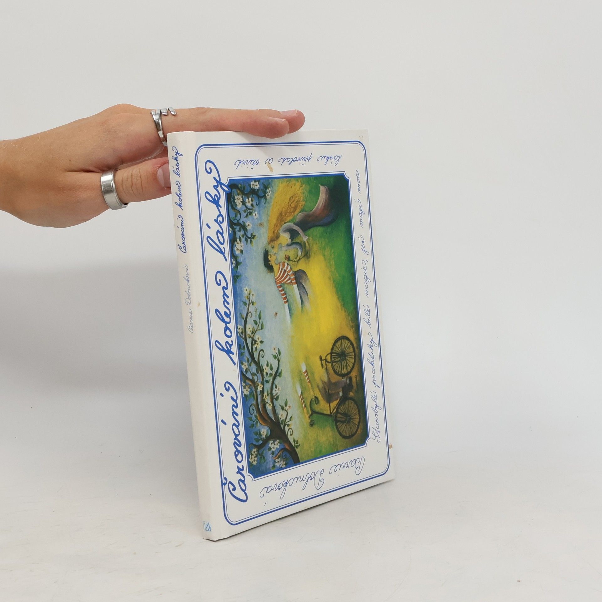 Barrie Dolnick Čarování kolem lásky