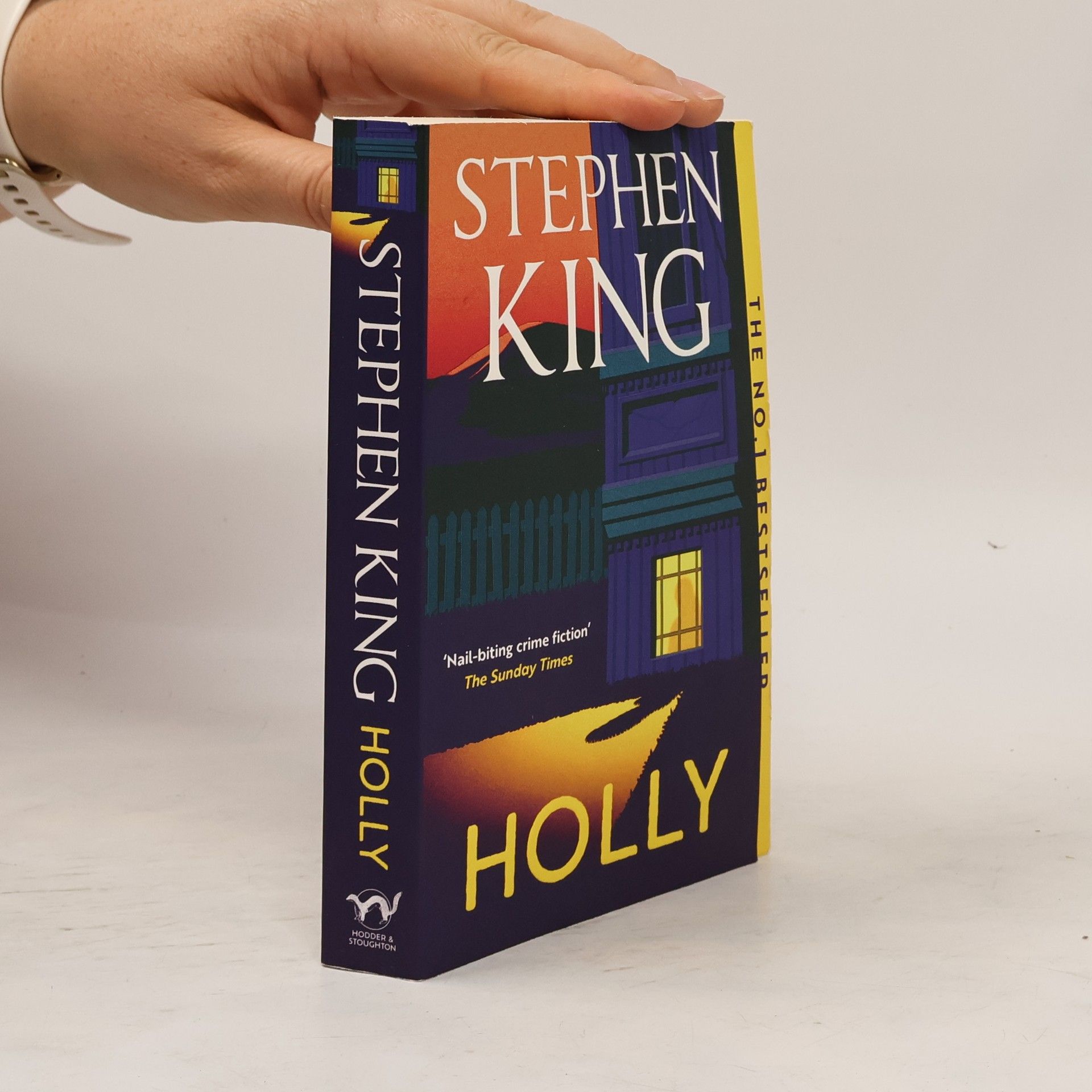 Stephen King Holly