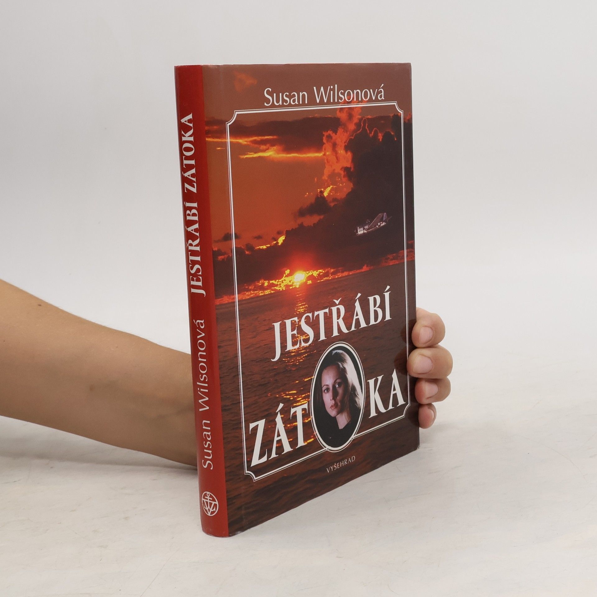 Susan Wilson Jestřábí zátoka