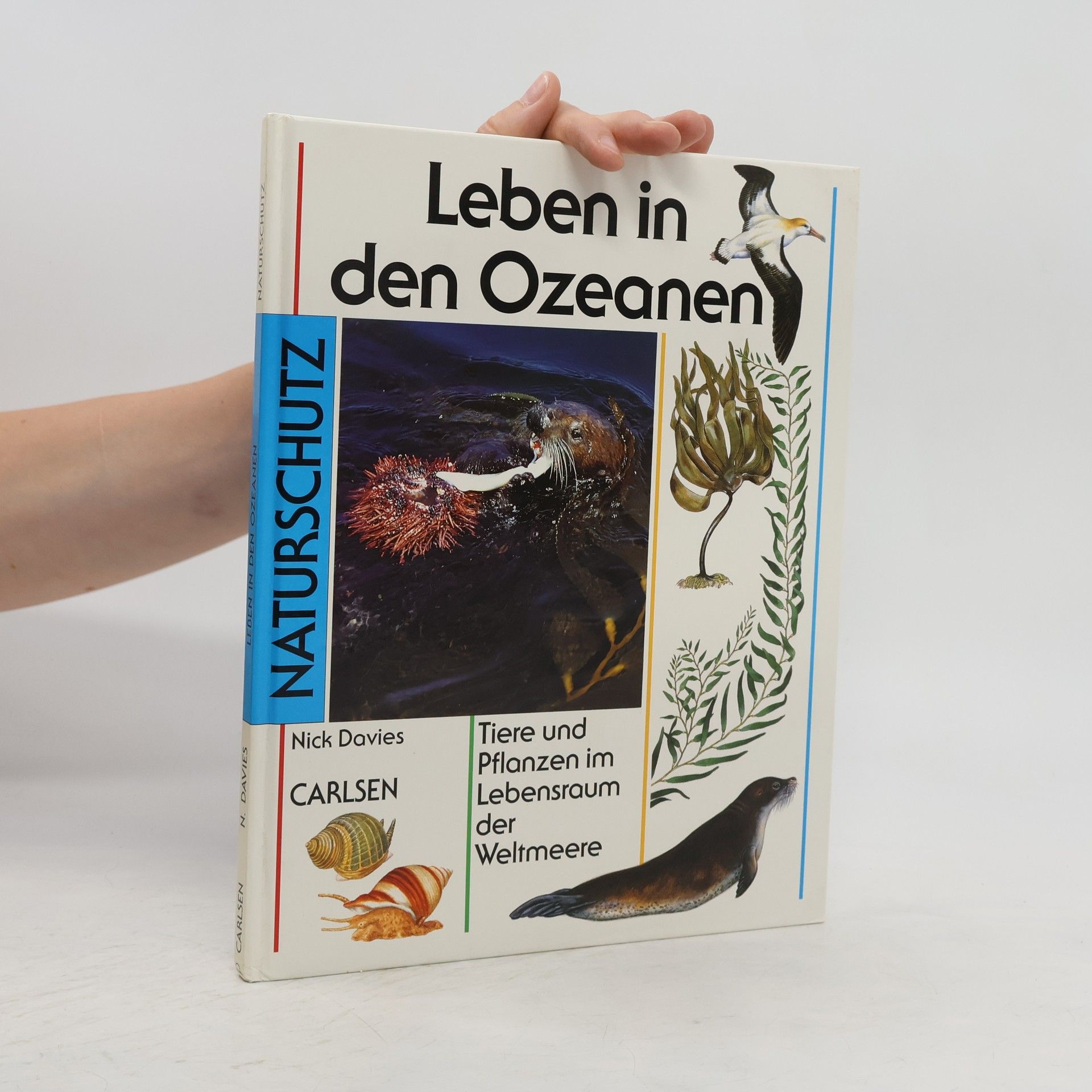 Nicola Davies Leben in den Ozeanen