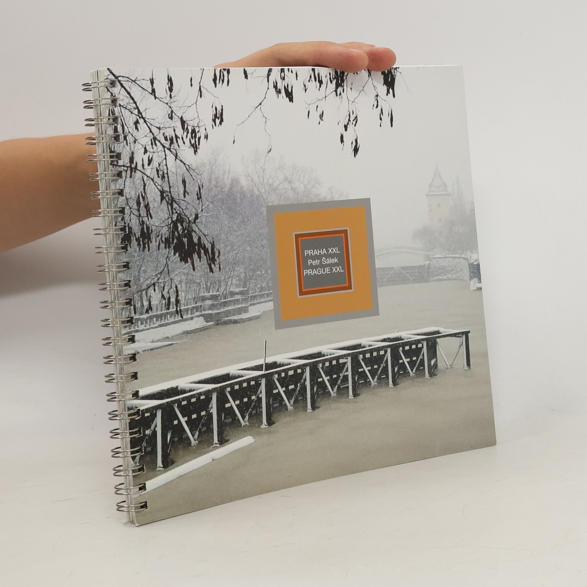 Petr Šálek Praha XXL, Tělo = Prague XXL, Body