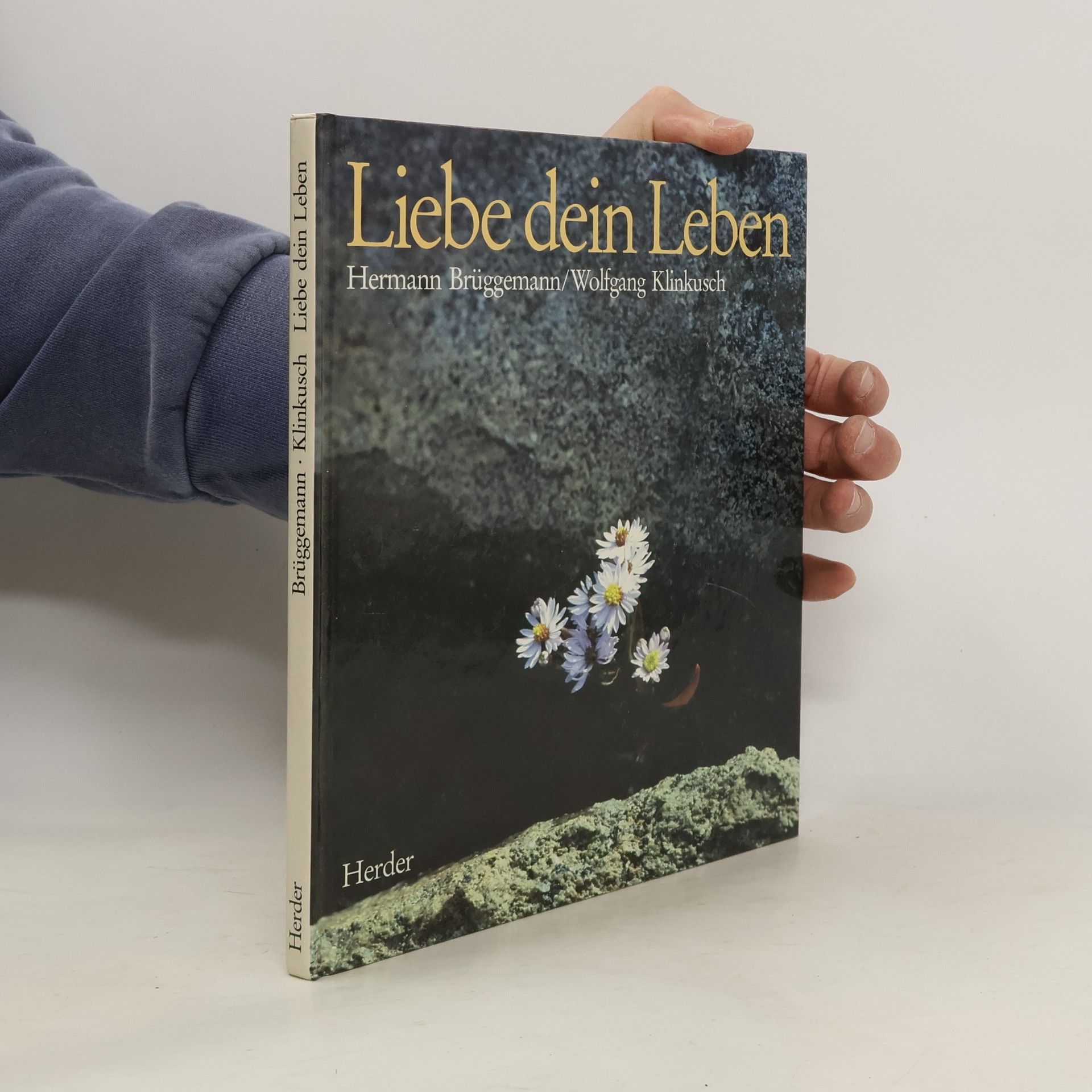 Hermann Brüggemann Liebe dein Leben