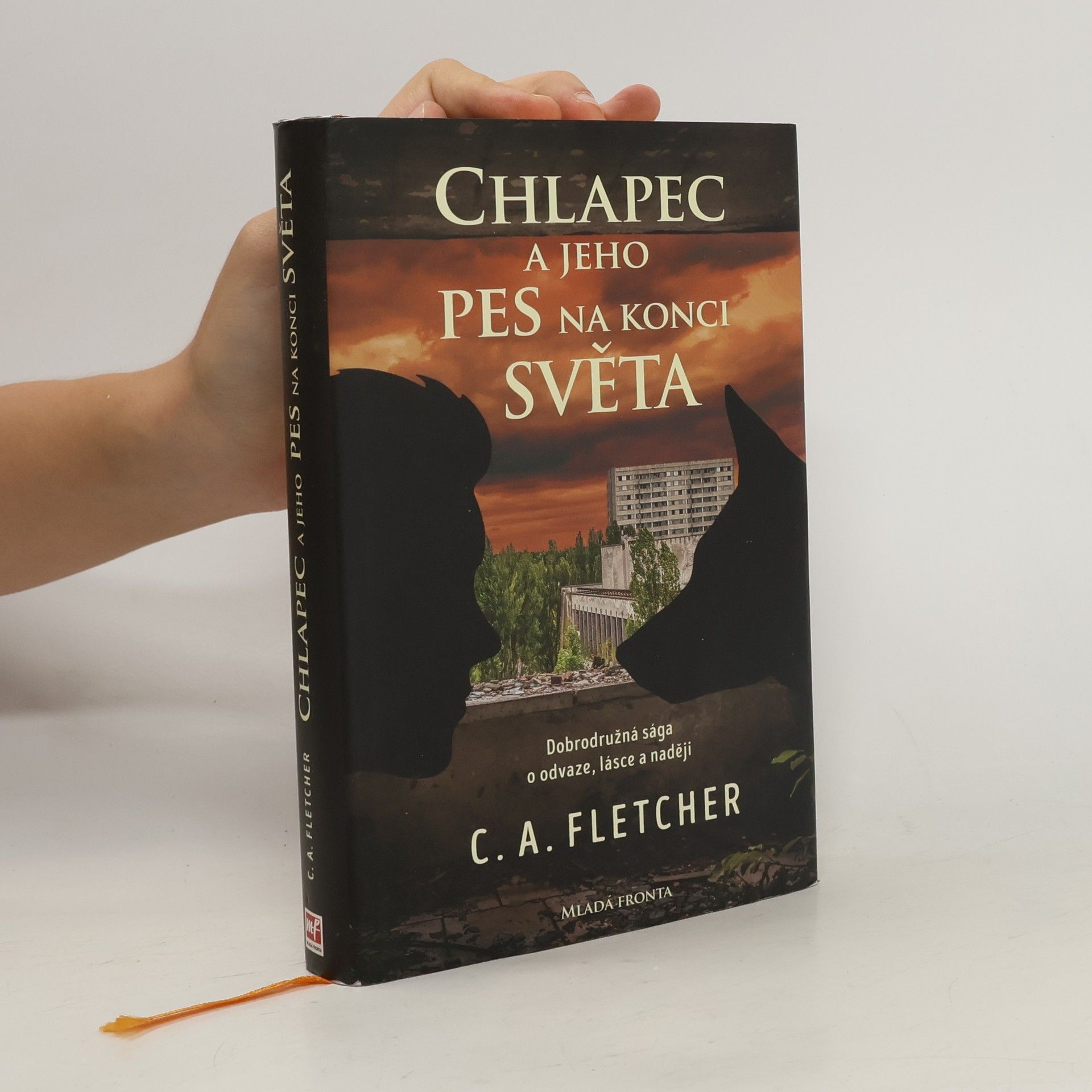 Charlie Fletcher Chlapec a jeho pes na konci světa