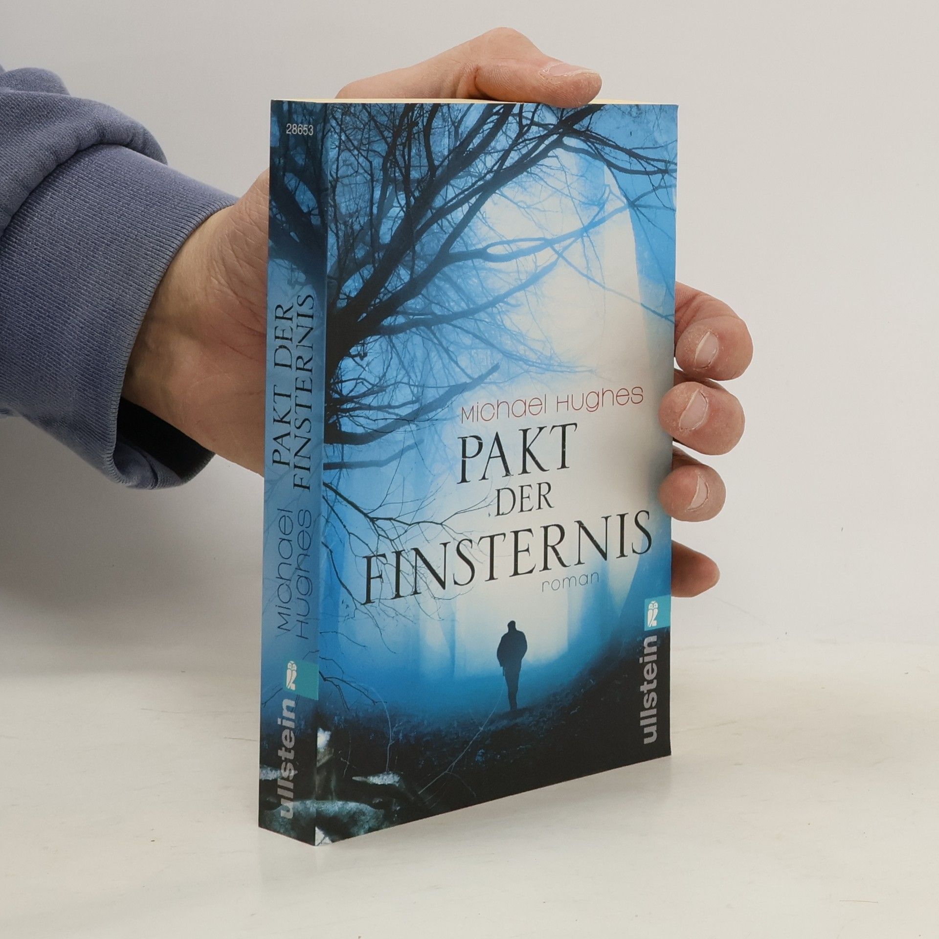 Michael Hughes Pakt der Finsternis