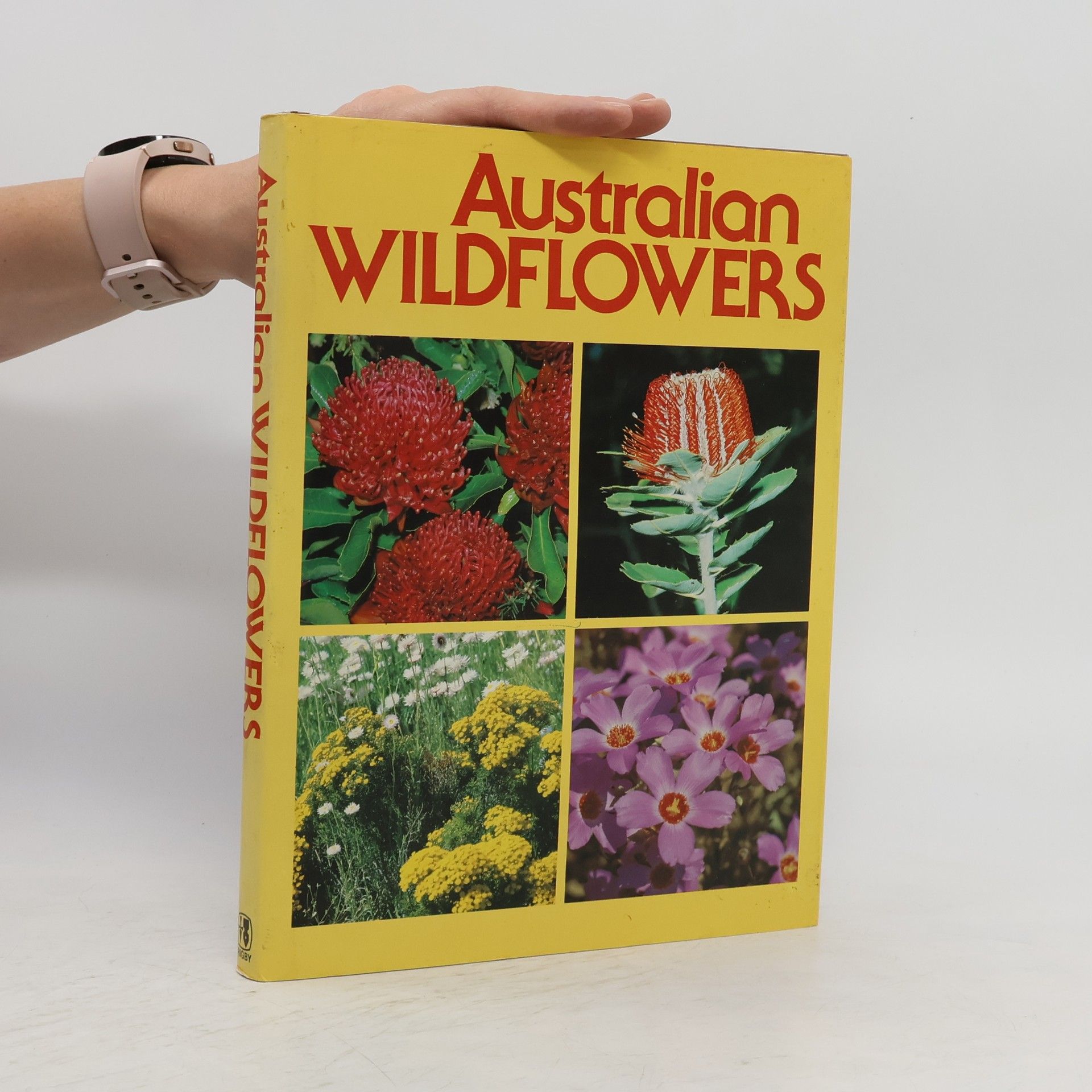 Collectif d'auteurs Australian Wildflowers