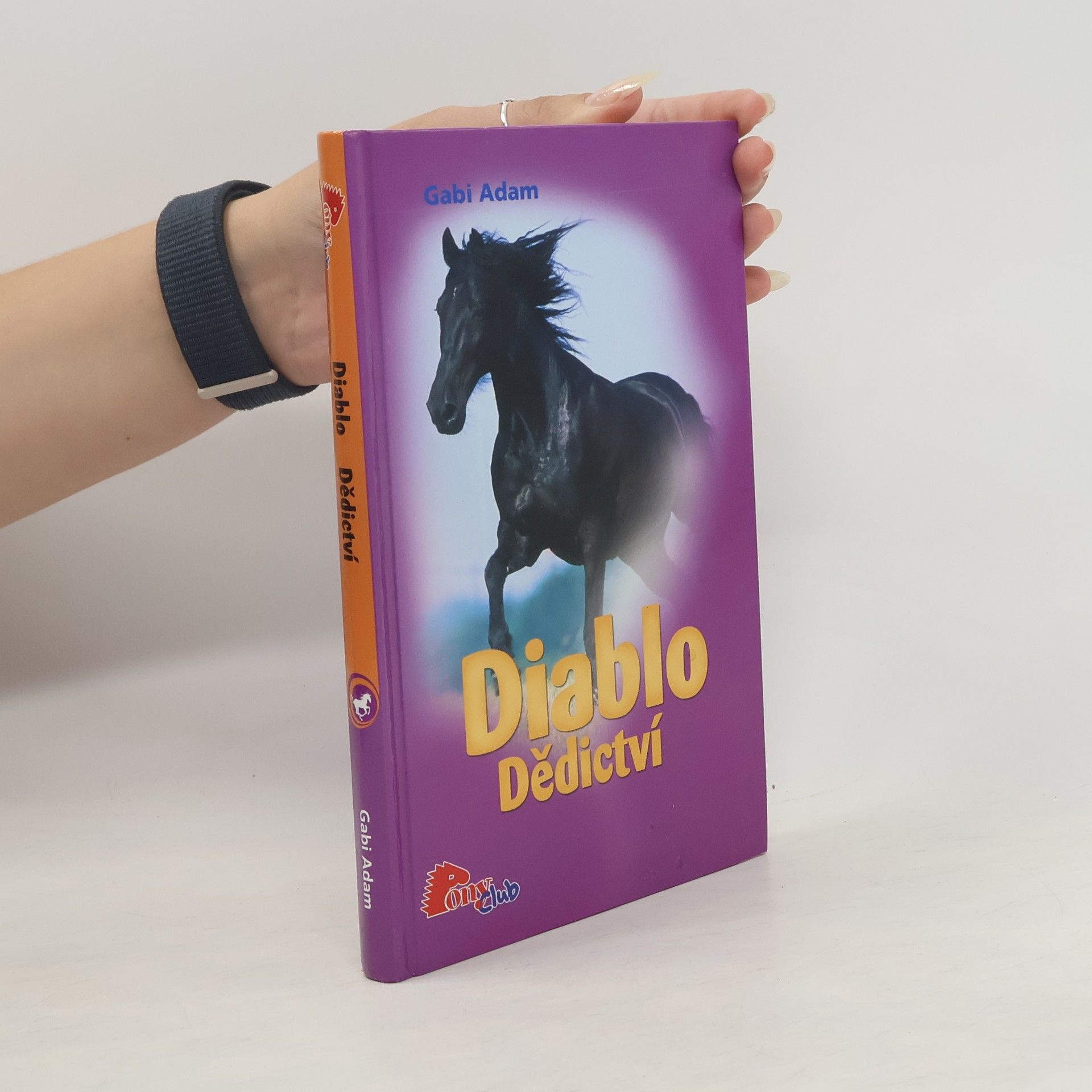 Gabi Adam Diablo. Dědictví