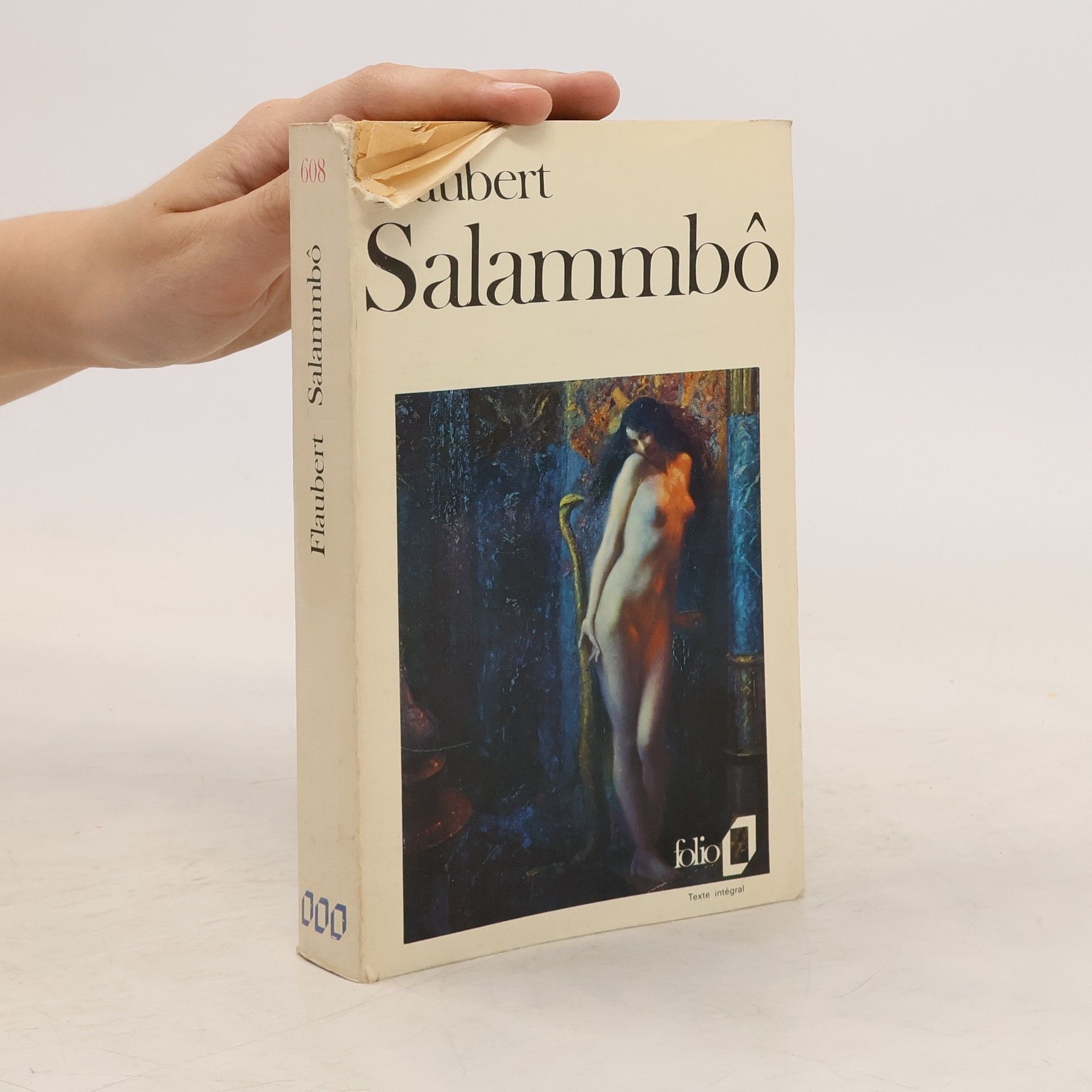 Gustave Flaubert Salammbô