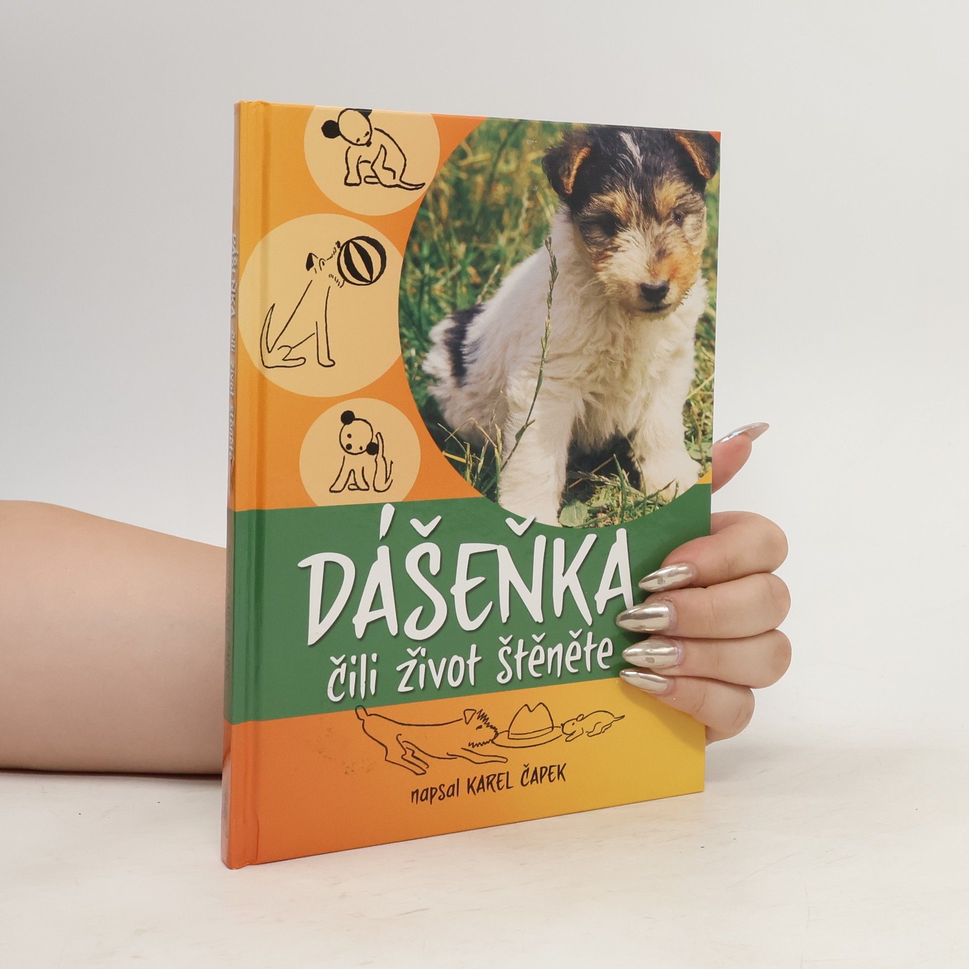 Dášenka čili život štěněte