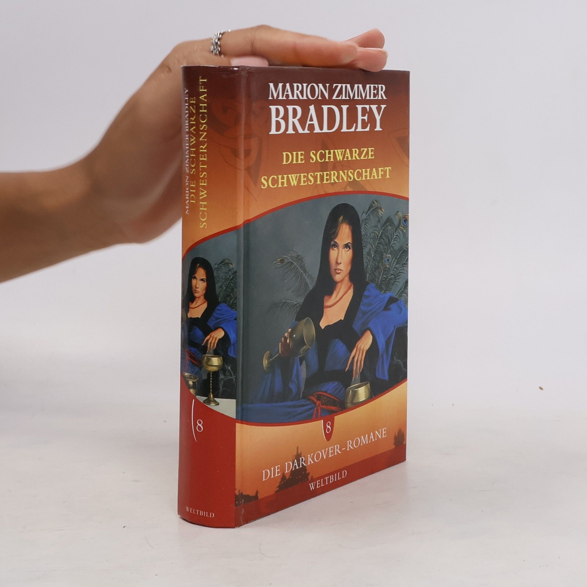 Marion Zimmer Bradley Die Darkover-Romane 8. Die schwarze Schwesternschaft