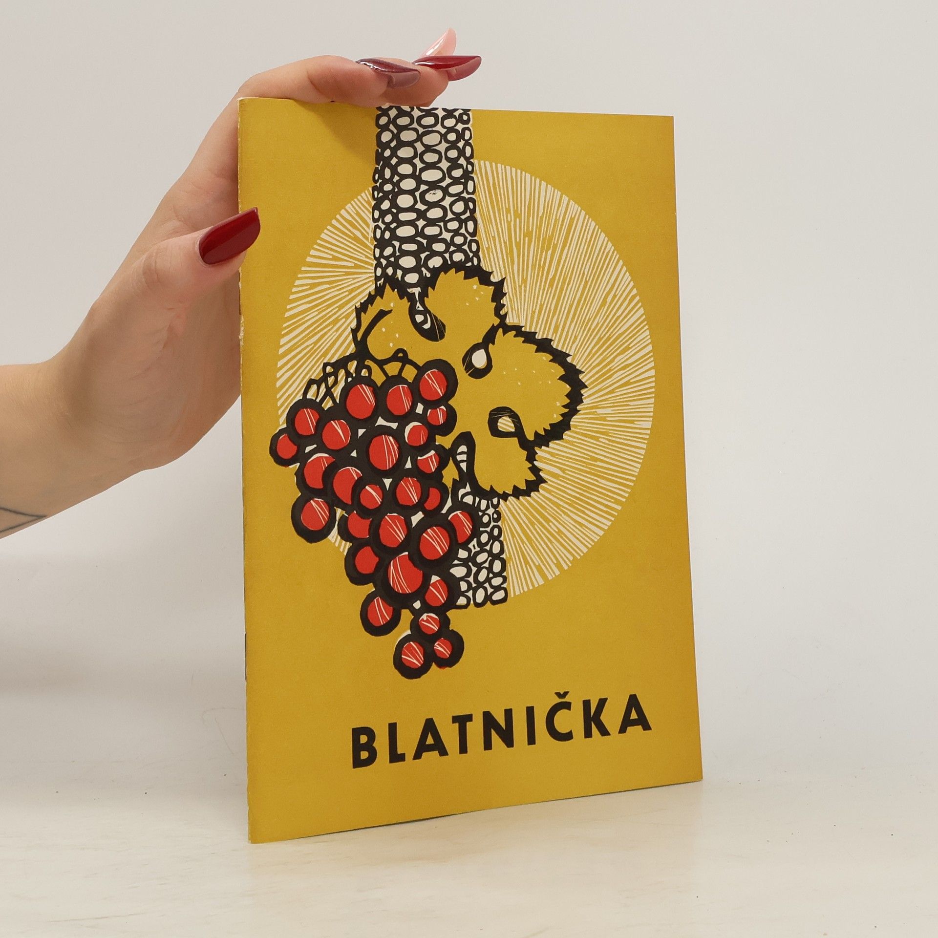 Kolektív autorov Blatnička