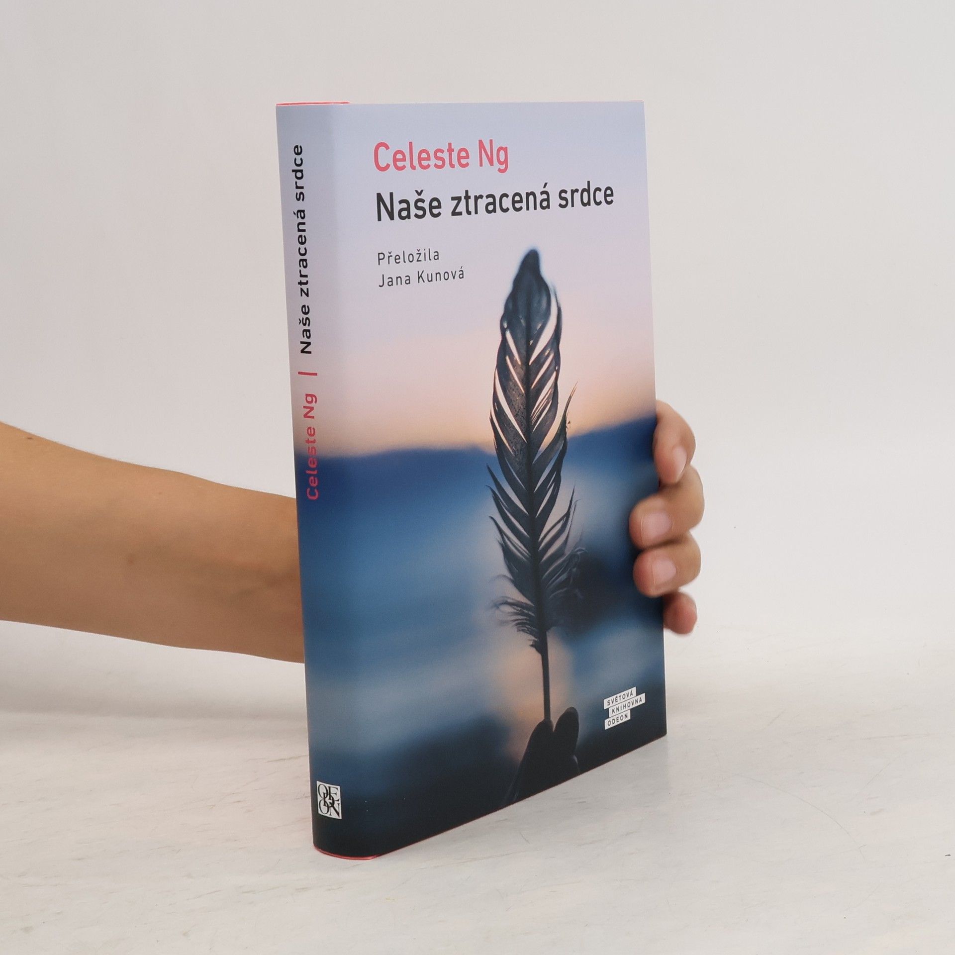 Celeste Ng Naše ztracená srdce