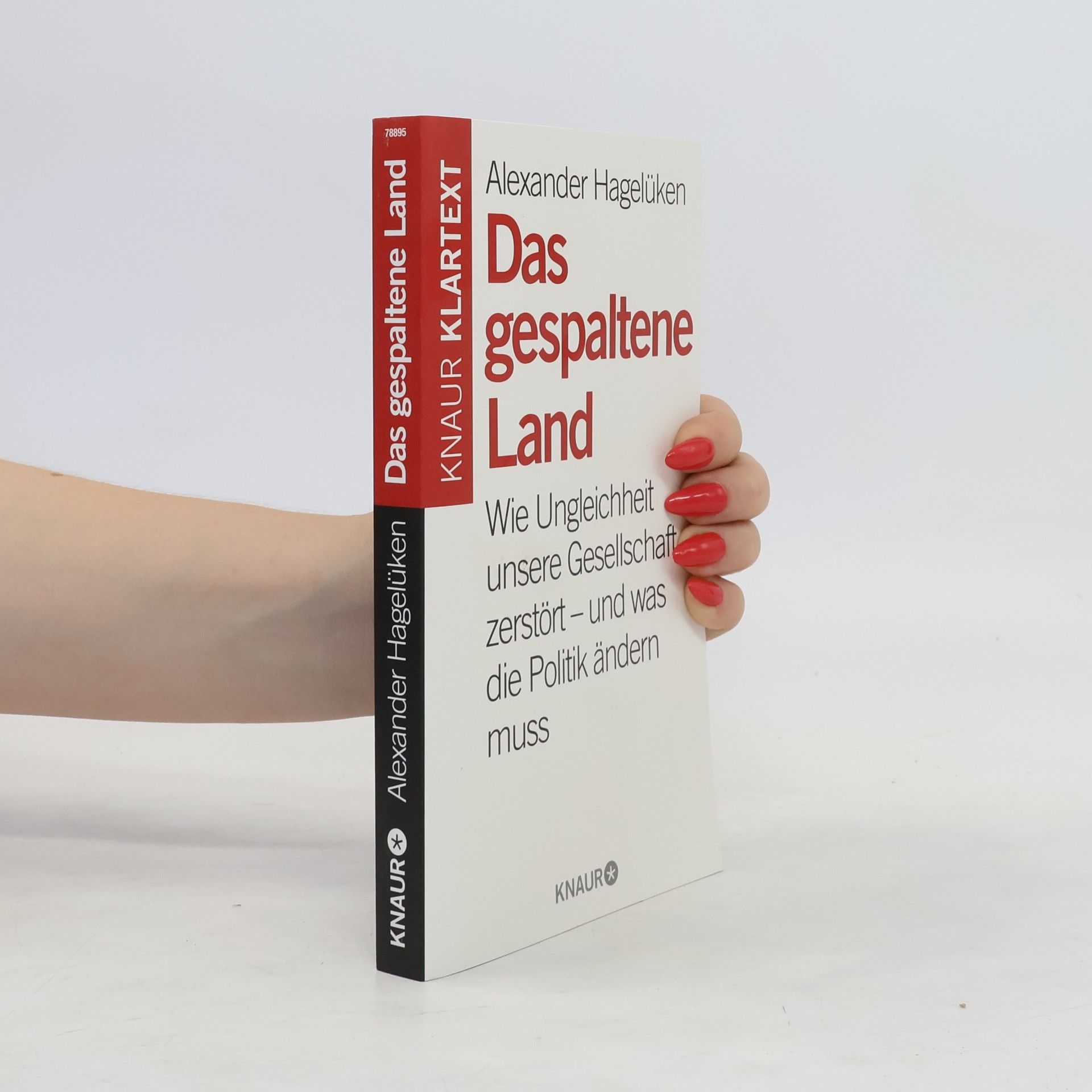 Alexander Hagelüken Das gespaltene Land