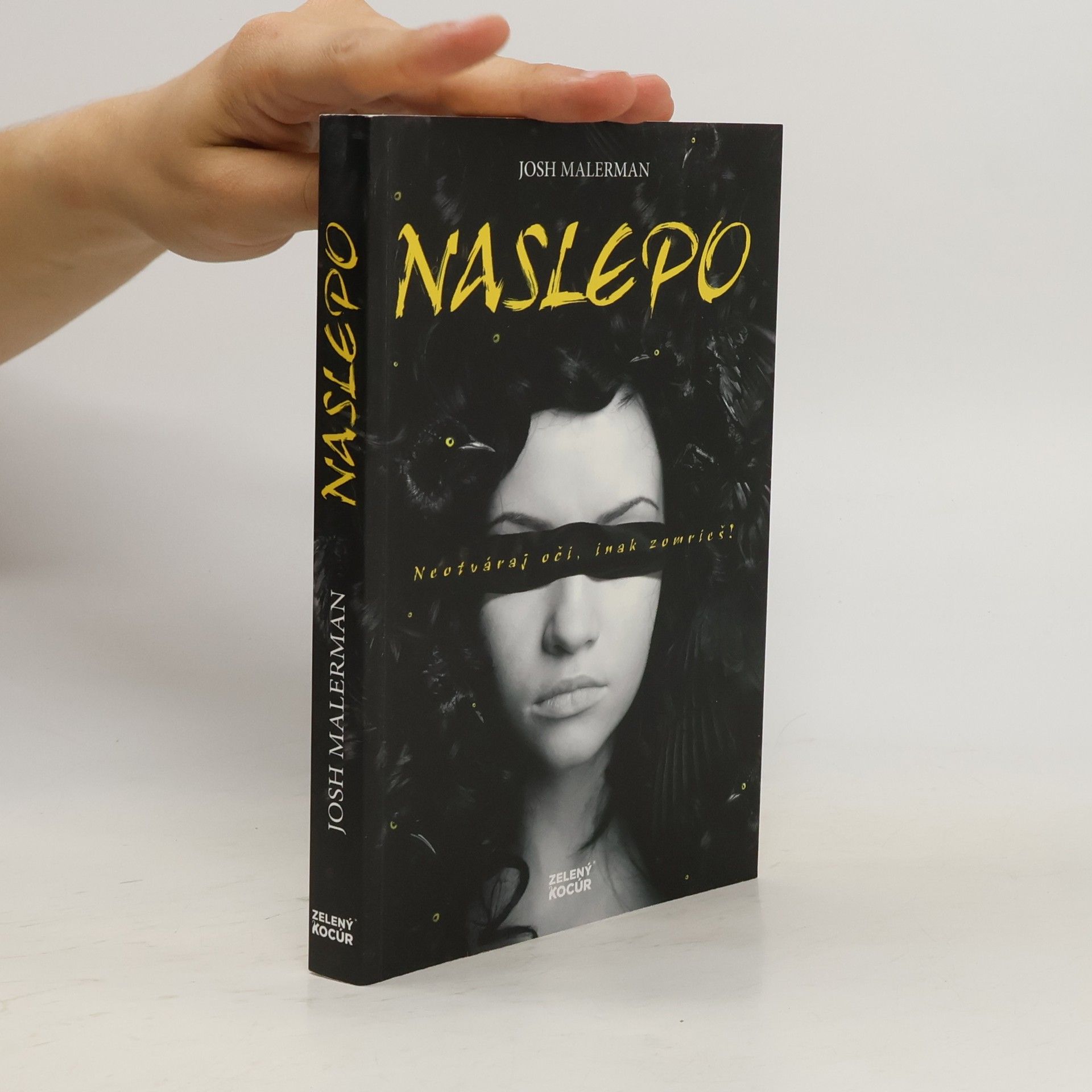 Josh Malerman Naslepo