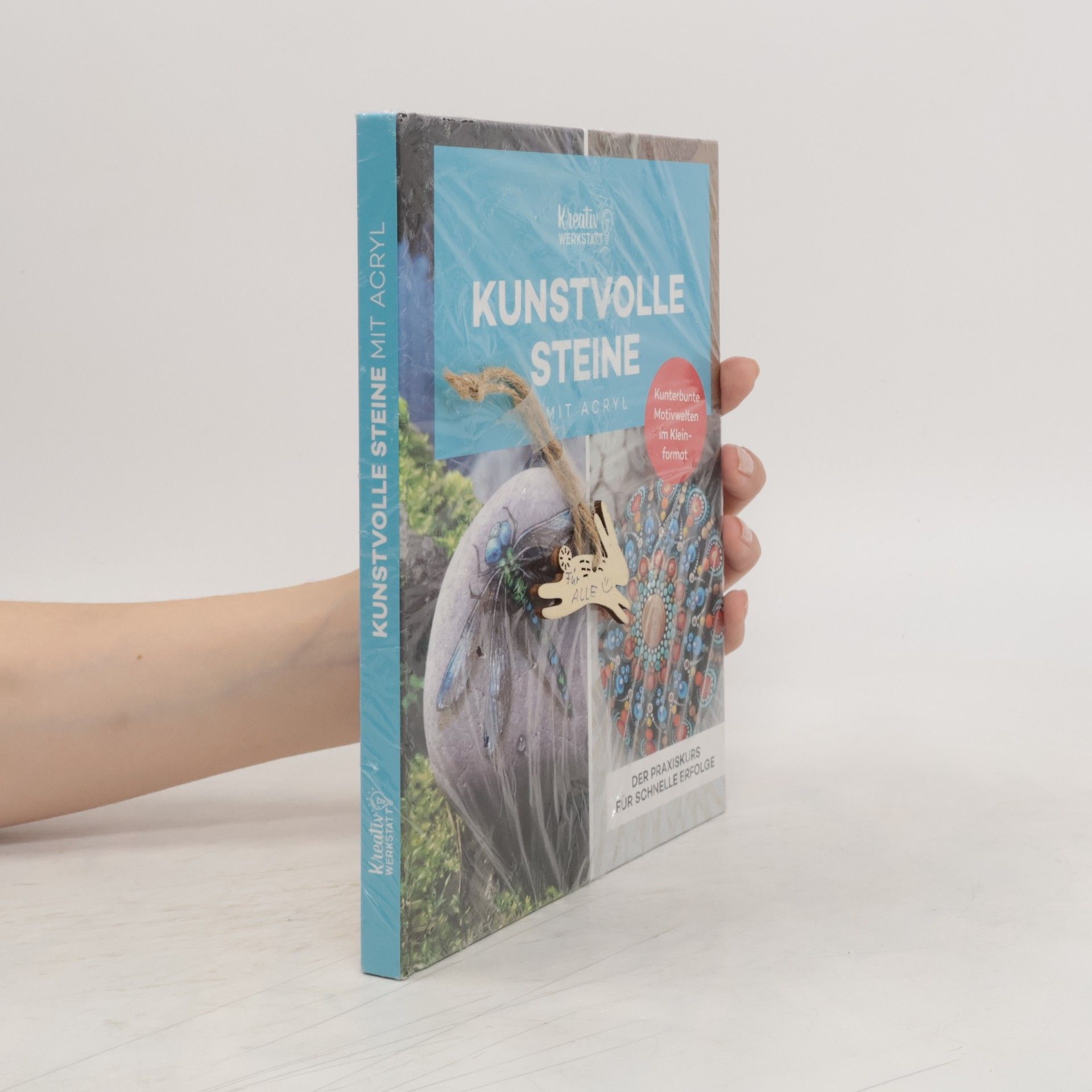 Auteurscollectief Kunstvolle Steine mit Acryl