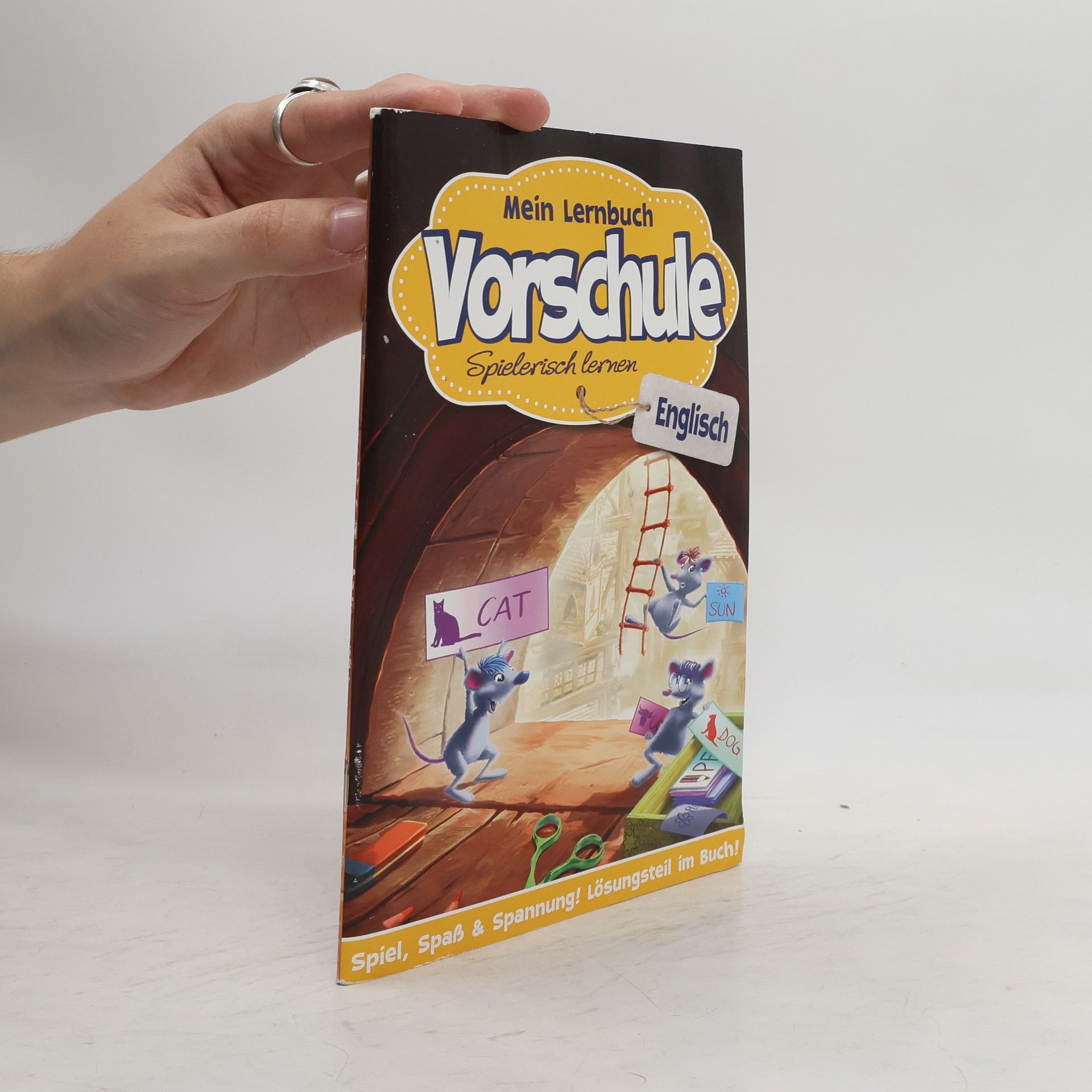 Collectif d'auteurs Mein Lernbuch Vorschule. Spielerisch lernen. Englisch