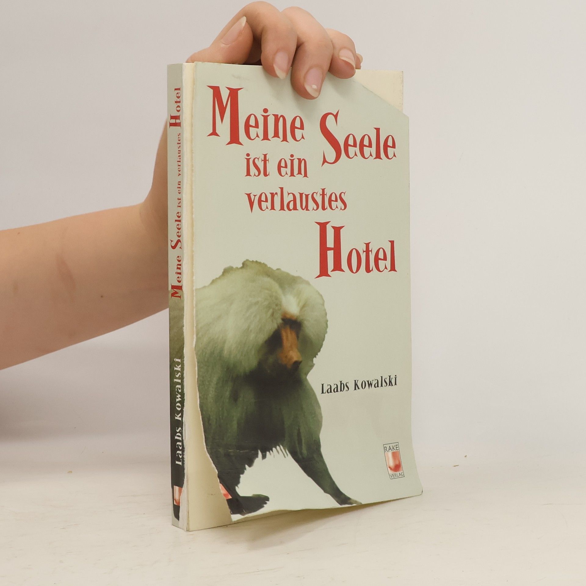 Laabs Kowalski Meine Seele ist ein verlaustes Hotel