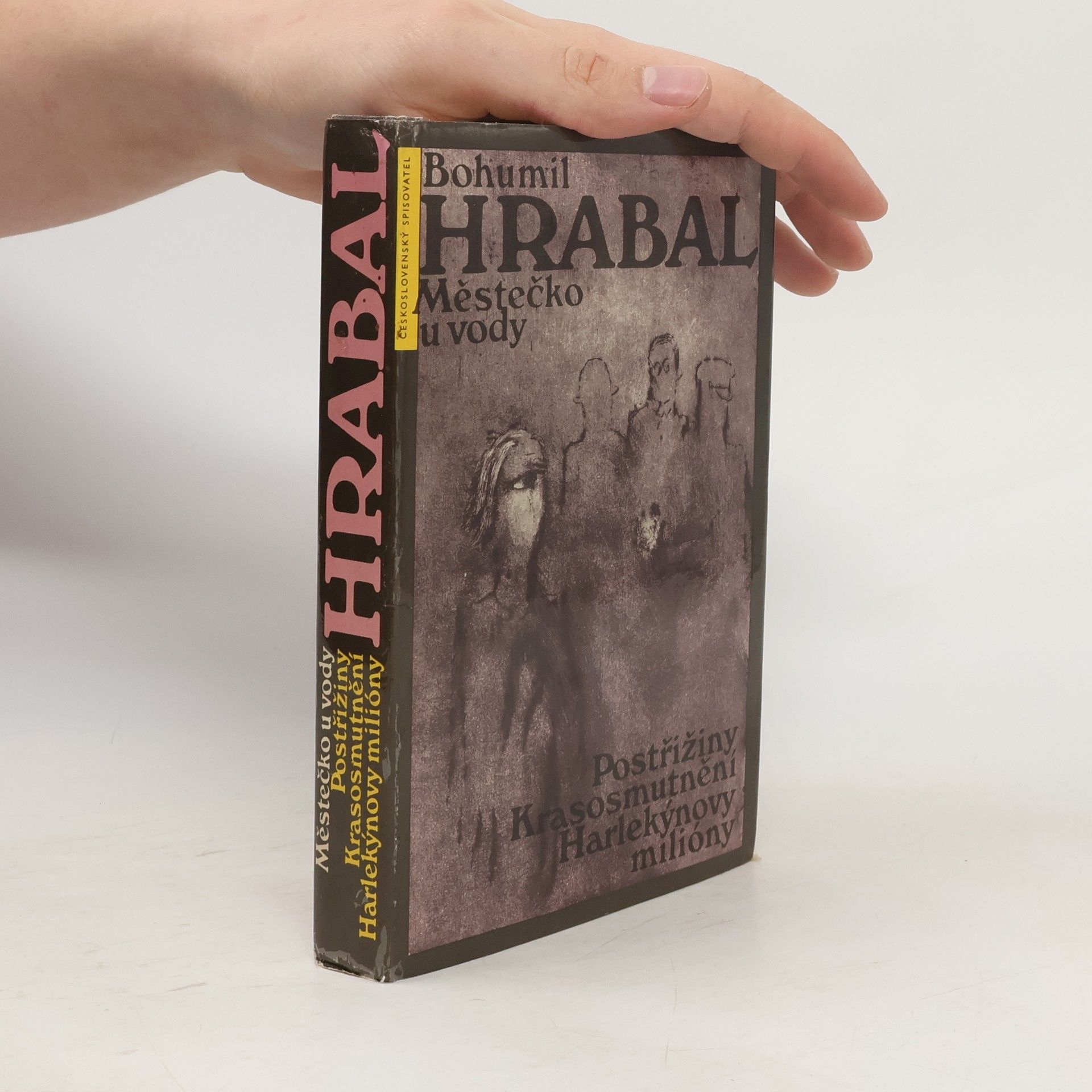 Bohumil Hrabal Městečko u vody