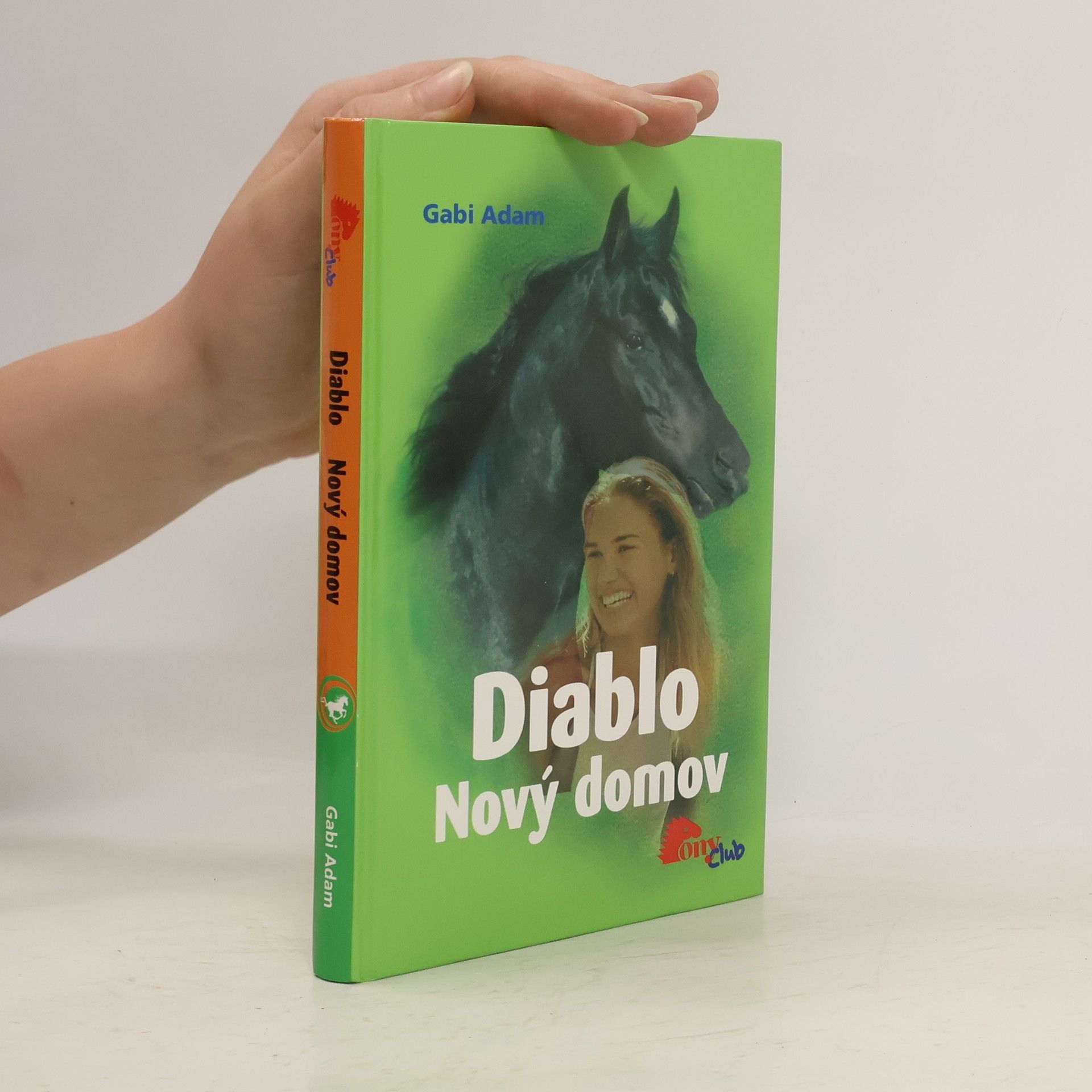 Gabi Adam Nový domov. Diablo 3