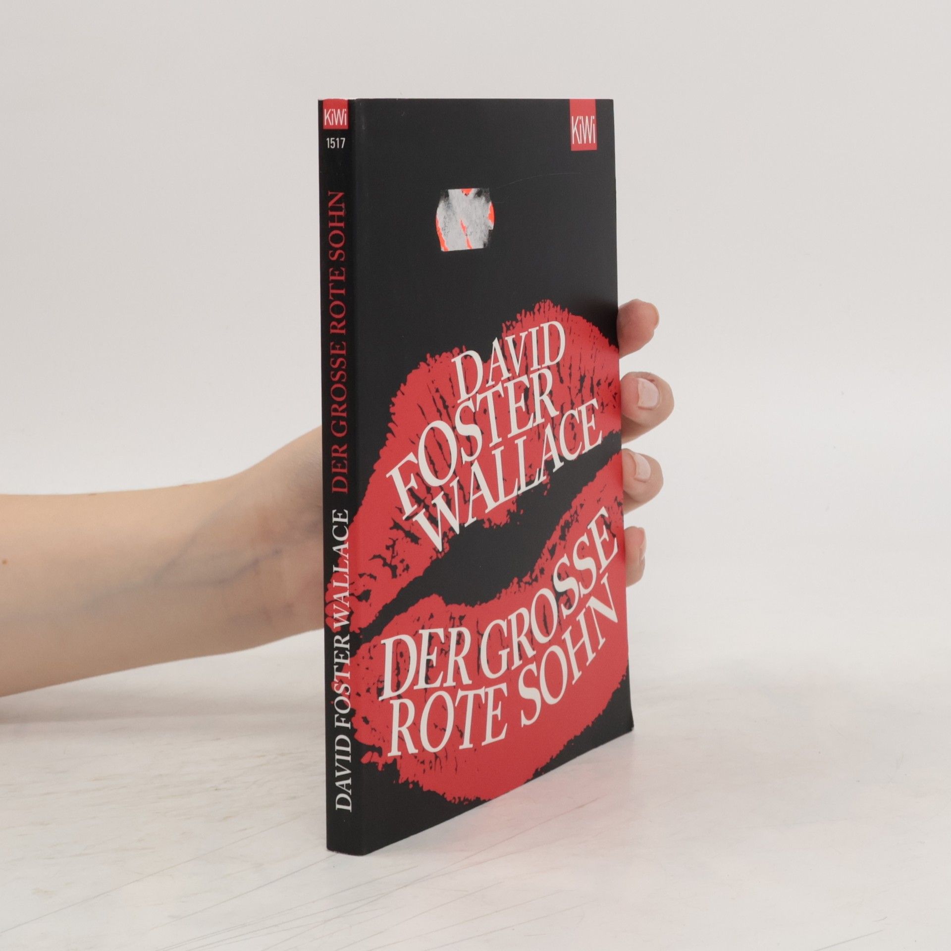 David Foster Wallace Der große rote Sohn
