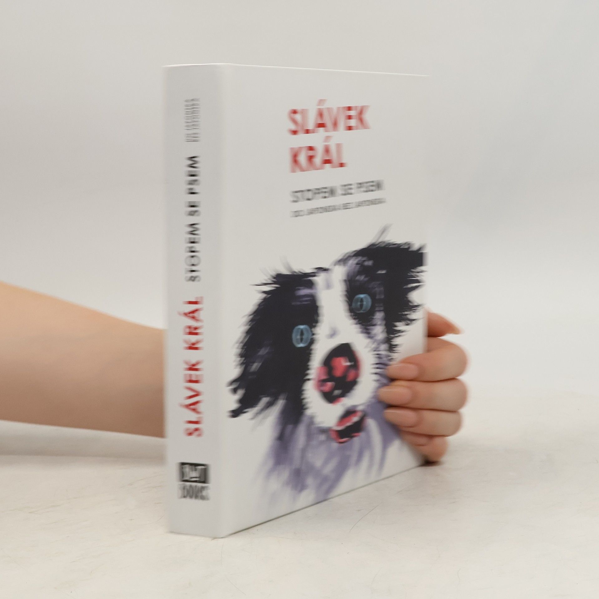 Slávek Král Stopem se psem : do Japonska bez Japonska