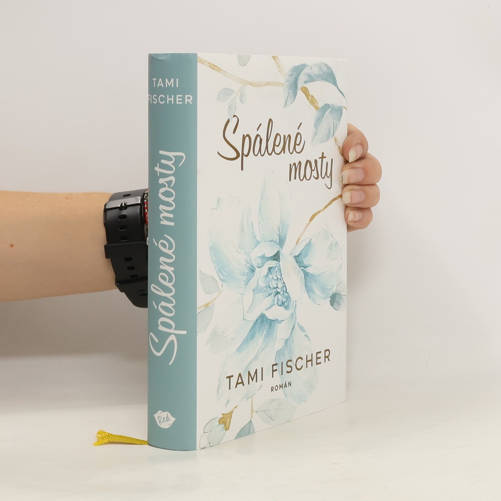 Tami Fischer Spálené mosty