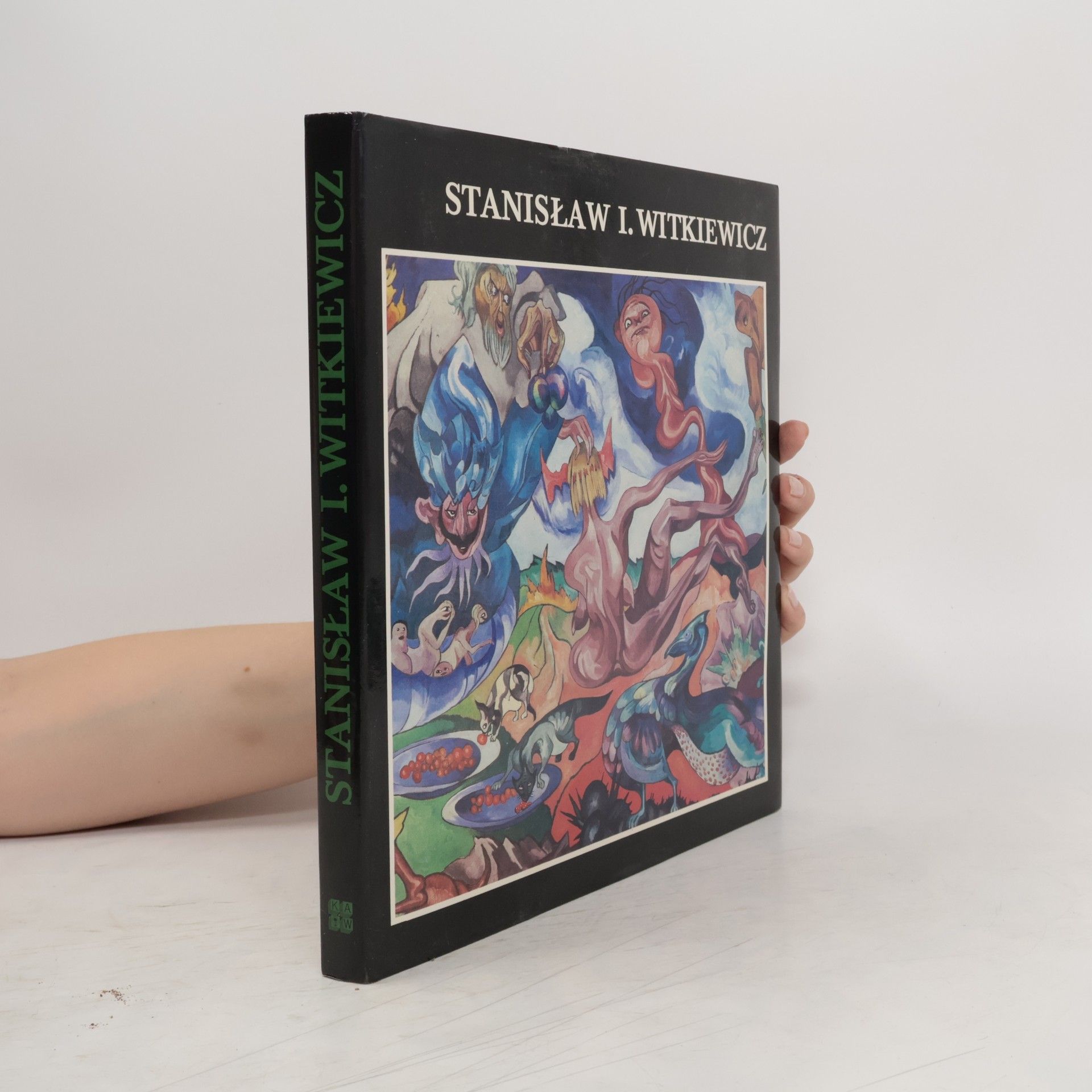 Autorenkollektiv Stanisław Ignacy Witkiewicz