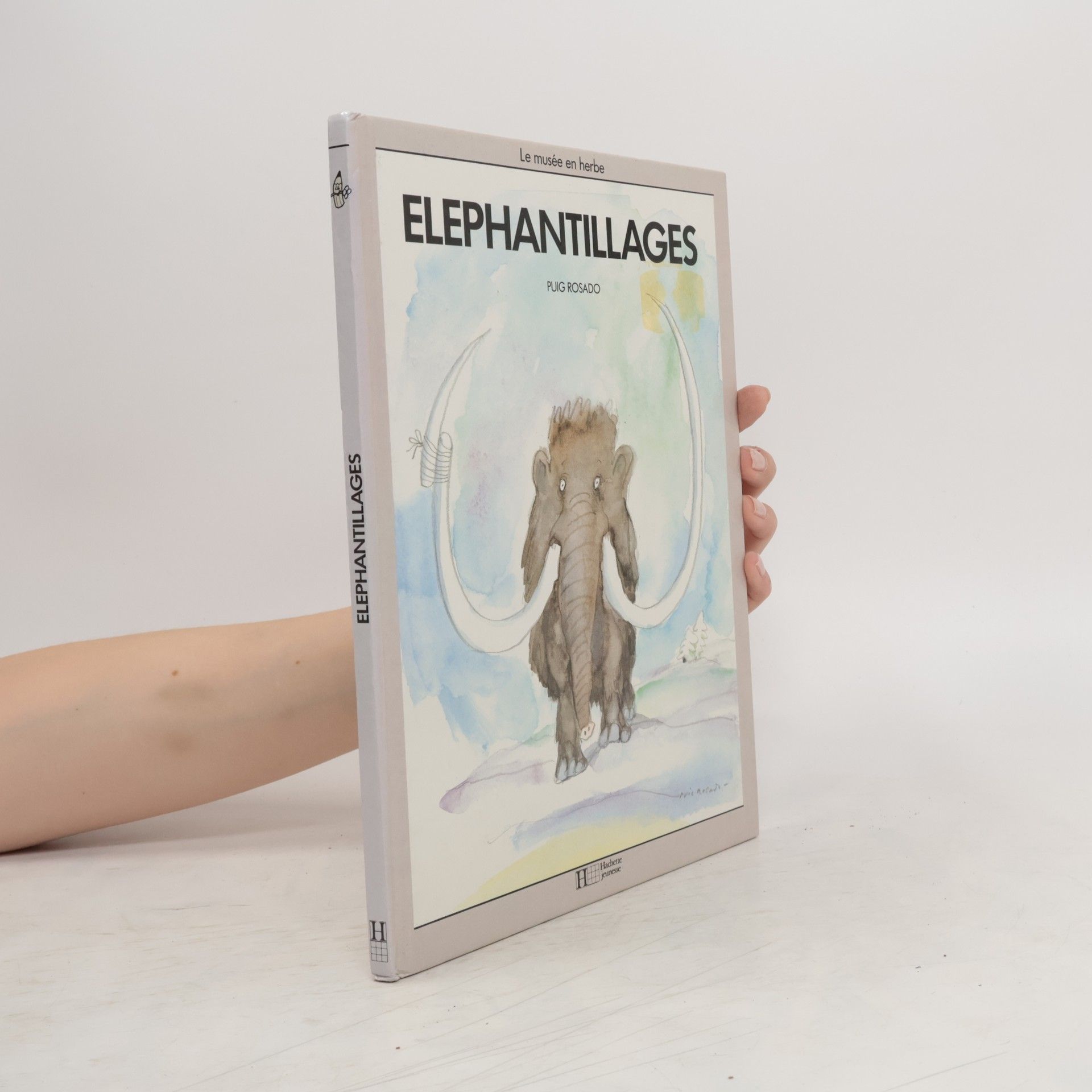 Fernando Puig Rosado Eléphantillages