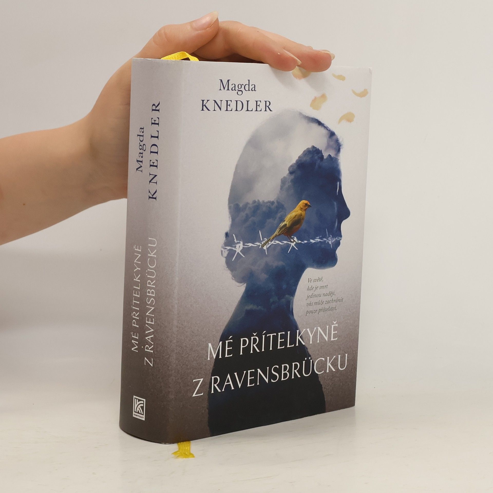 Magdalena Knedler Mé přítelkyně z Ravensbrücku