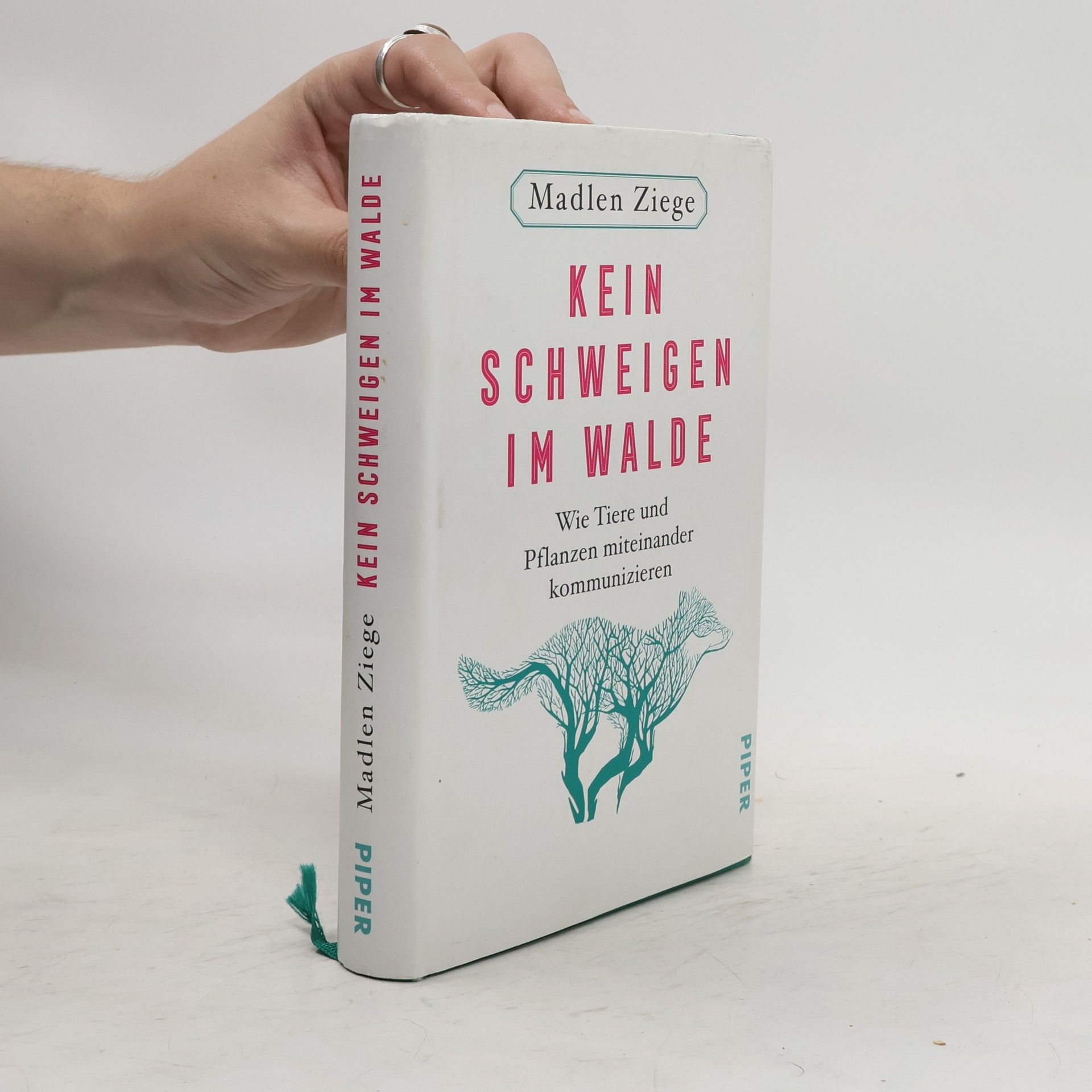 Kein Schweigen im Walde