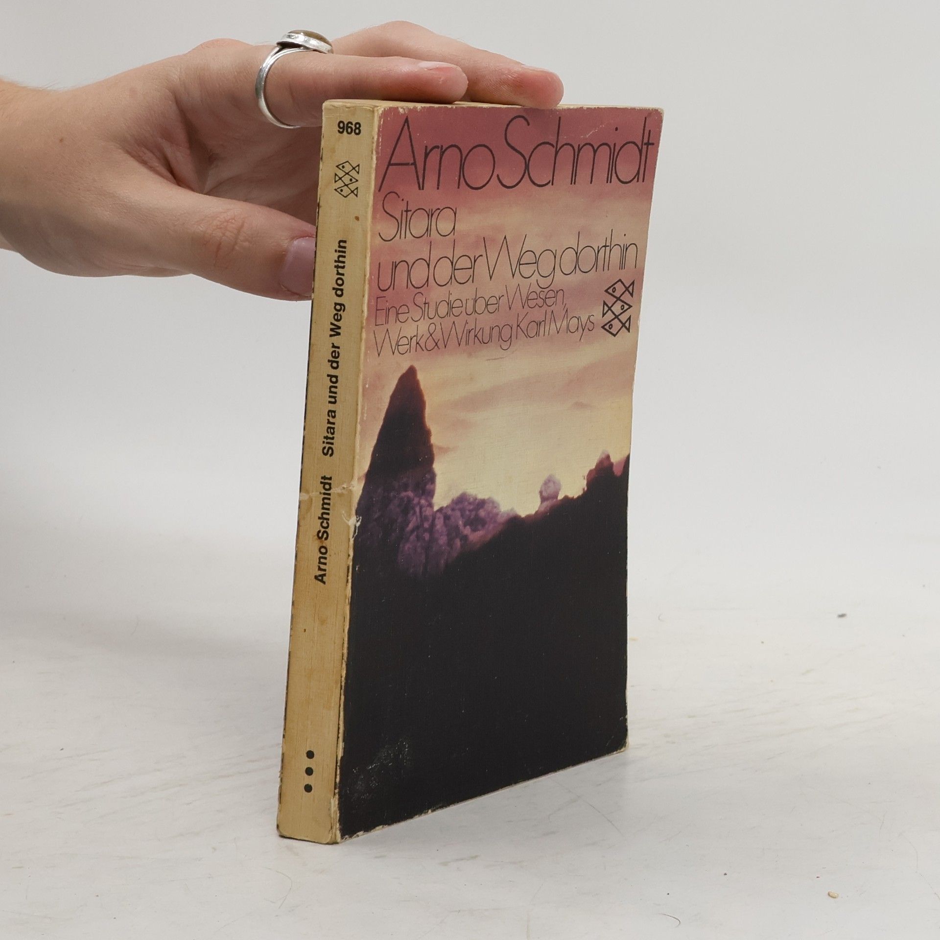Arno Schmidt-Trucksäss Sitara und der Weg dorthin